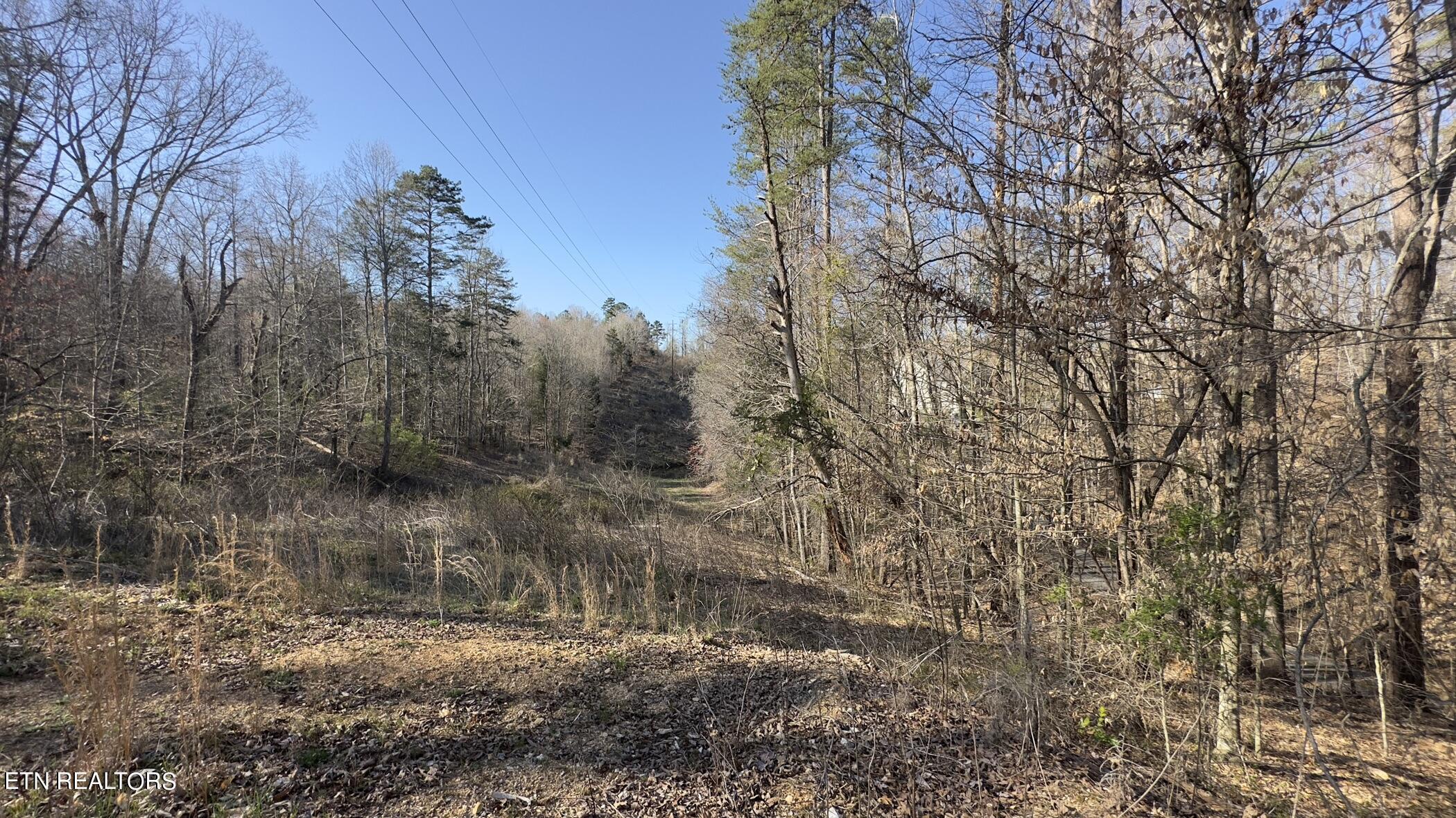 Fort Loudoun and Tellico Lake Real Estate - Image# 38