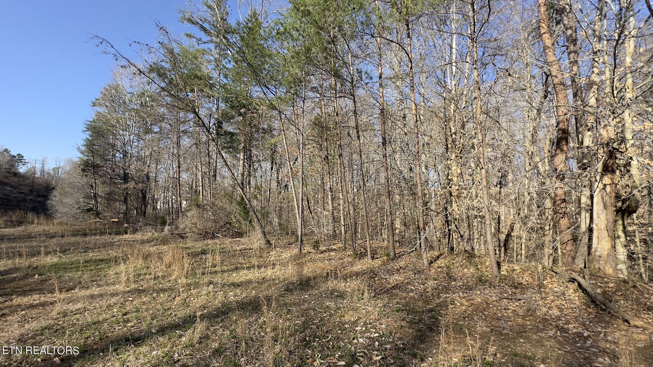 Fort Loudoun and Tellico Lake Real Estate - Image# 39