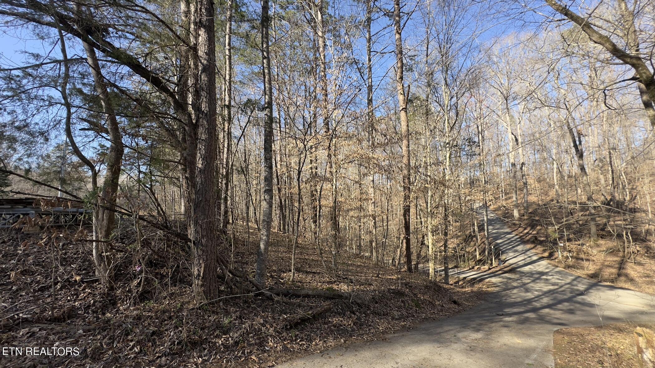 Fort Loudoun and Tellico Lake Real Estate - Image# 40