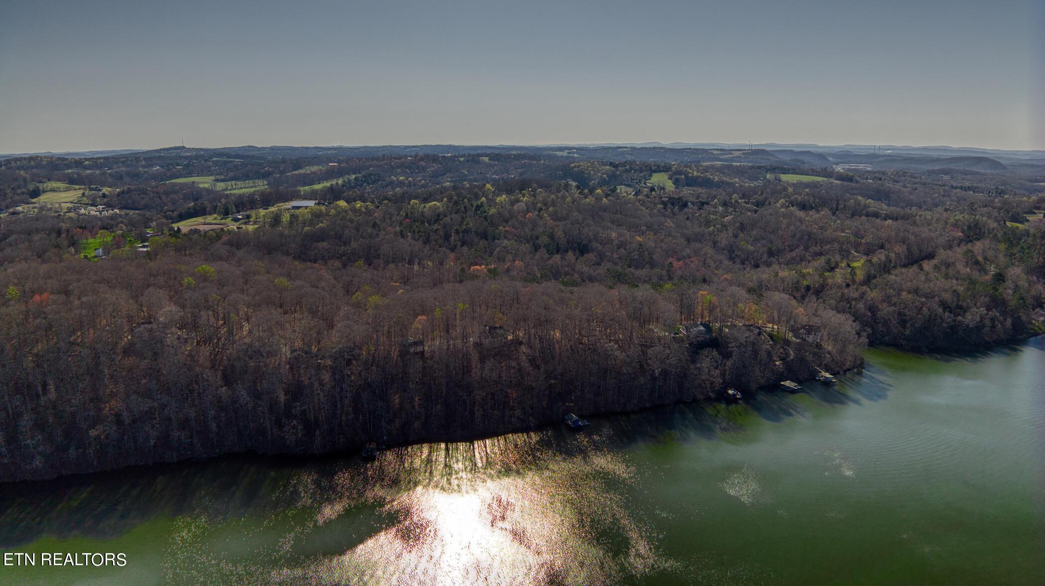Fort Loudoun and Tellico Lake Real Estate - Image# 45