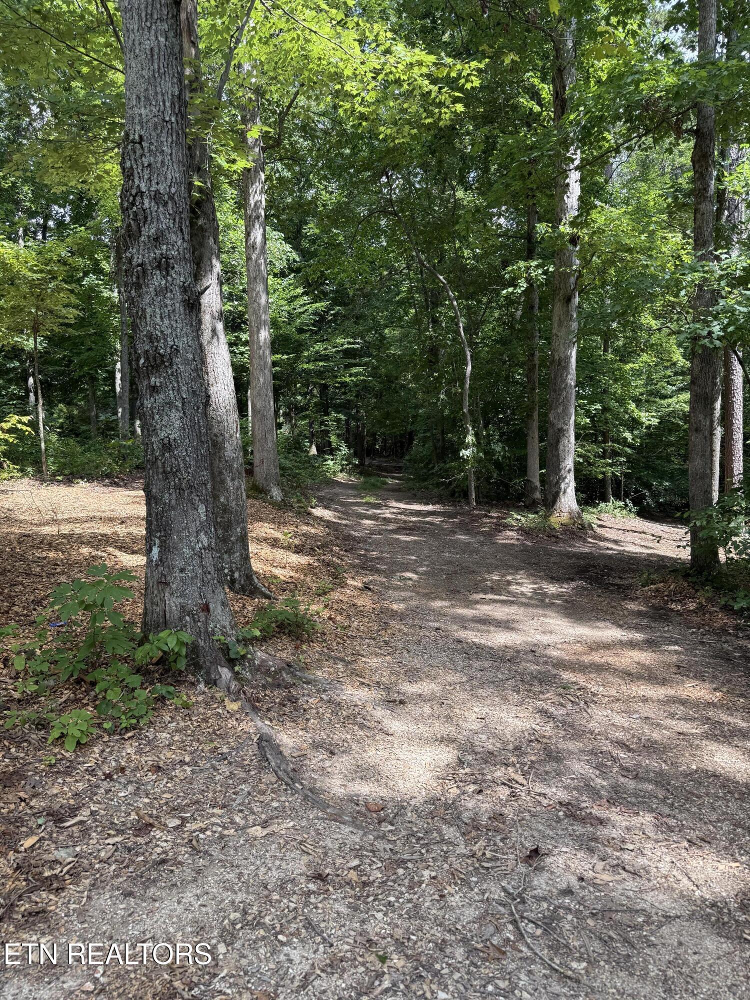 Fort Loudoun and Tellico Lake Real Estate - Image# 27