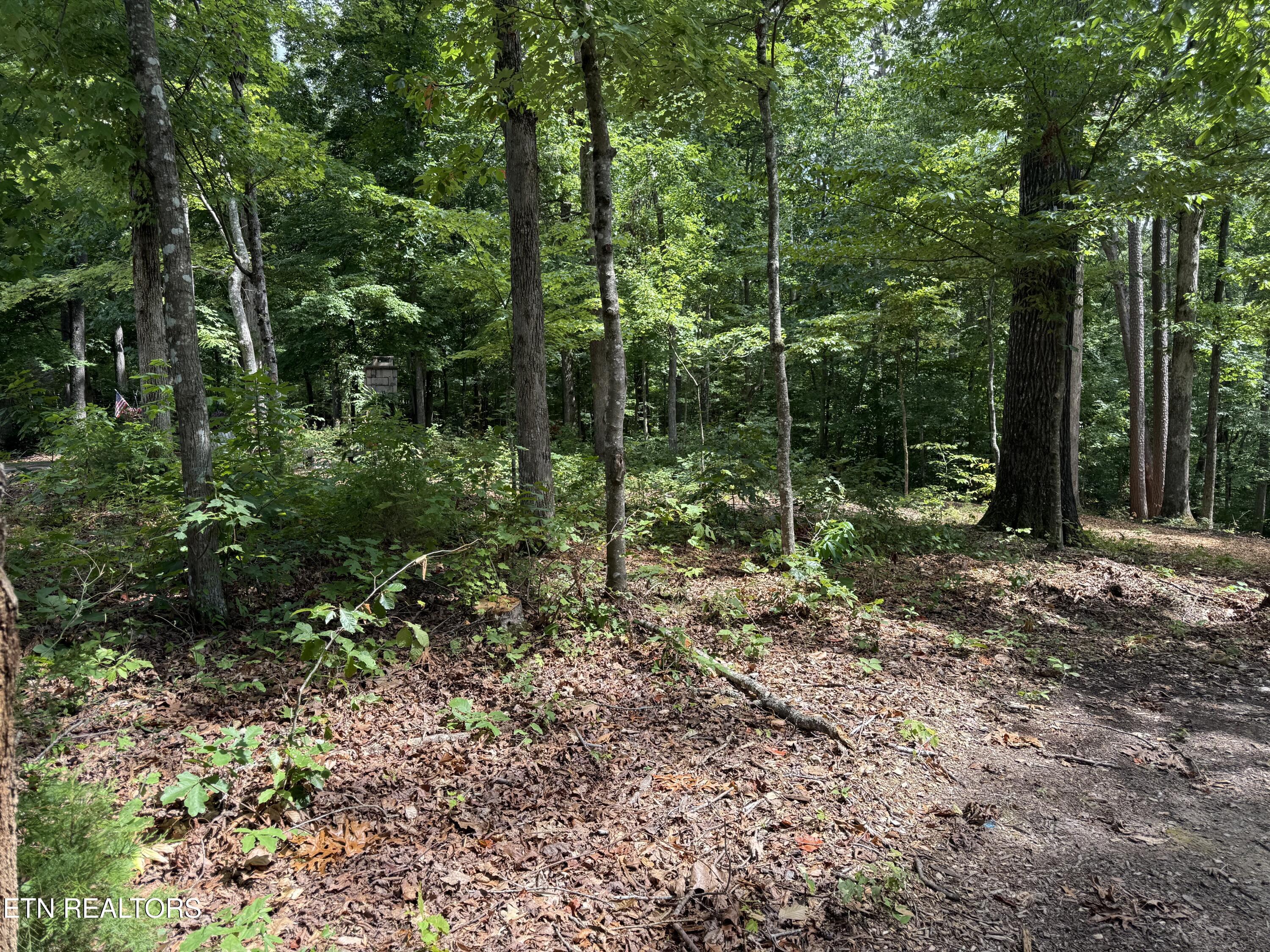 Fort Loudoun and Tellico Lake Real Estate - Image# 18