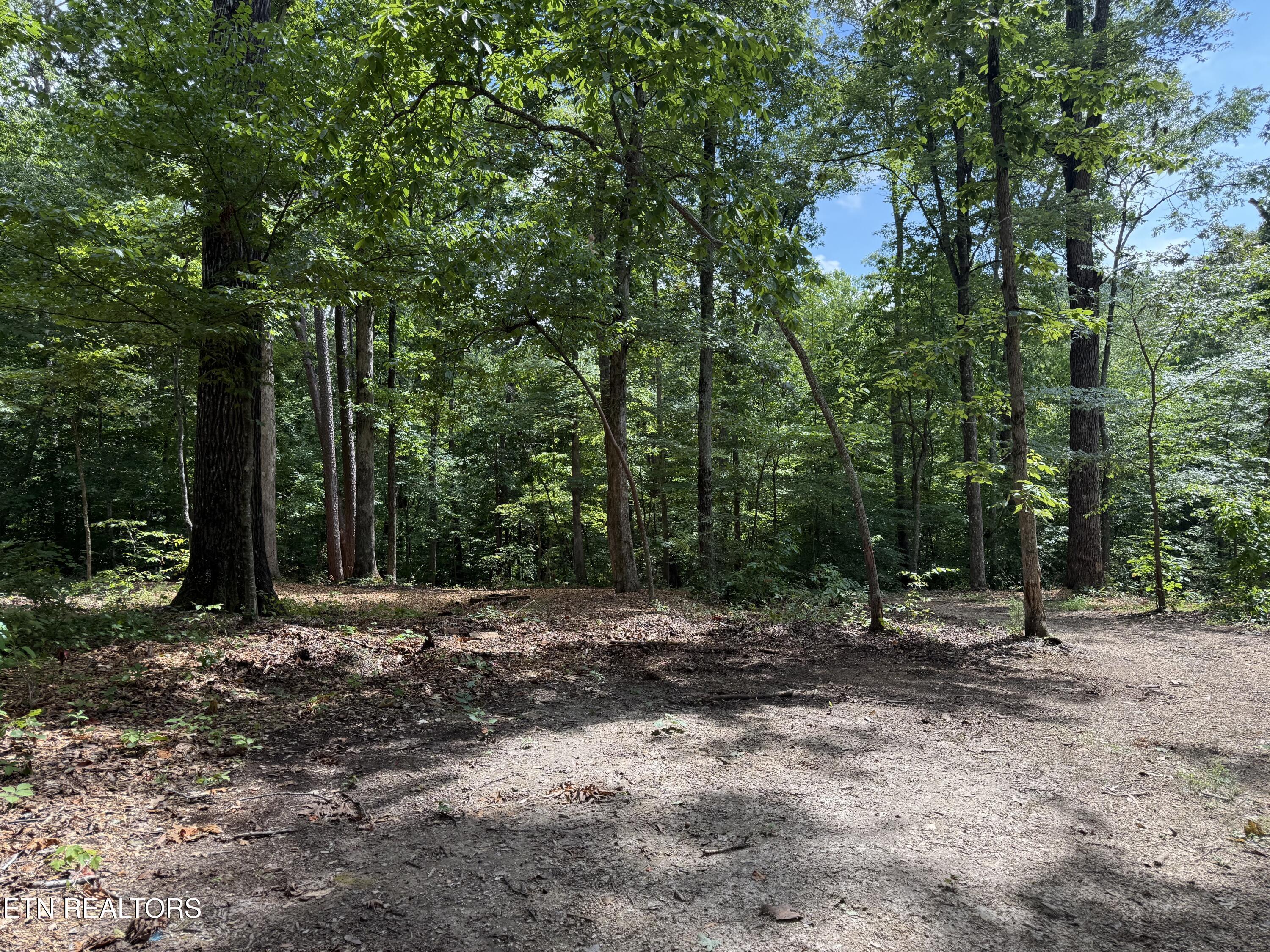 Fort Loudoun and Tellico Lake Real Estate - Image# 19