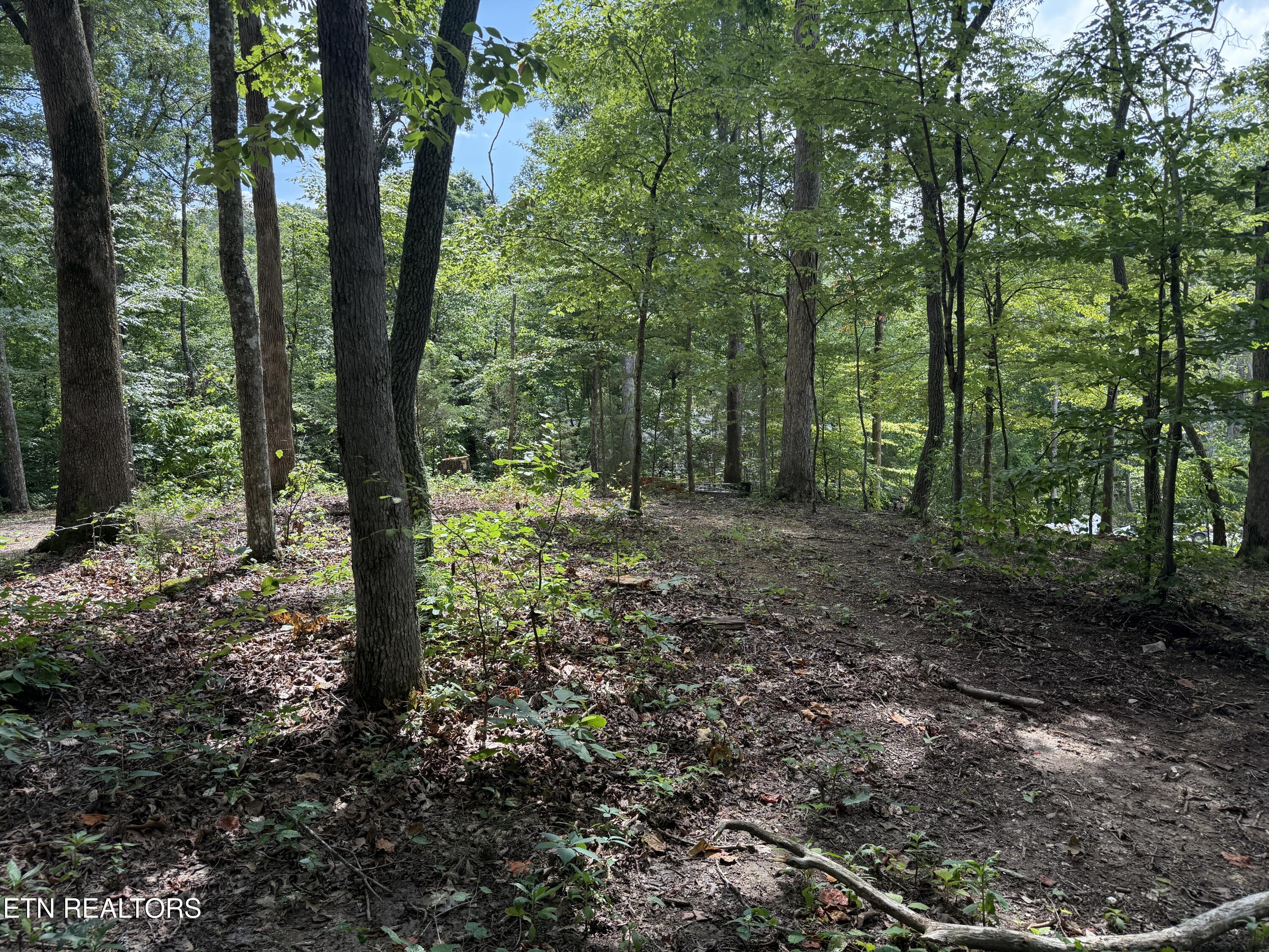 Fort Loudoun and Tellico Lake Real Estate - Image# 25