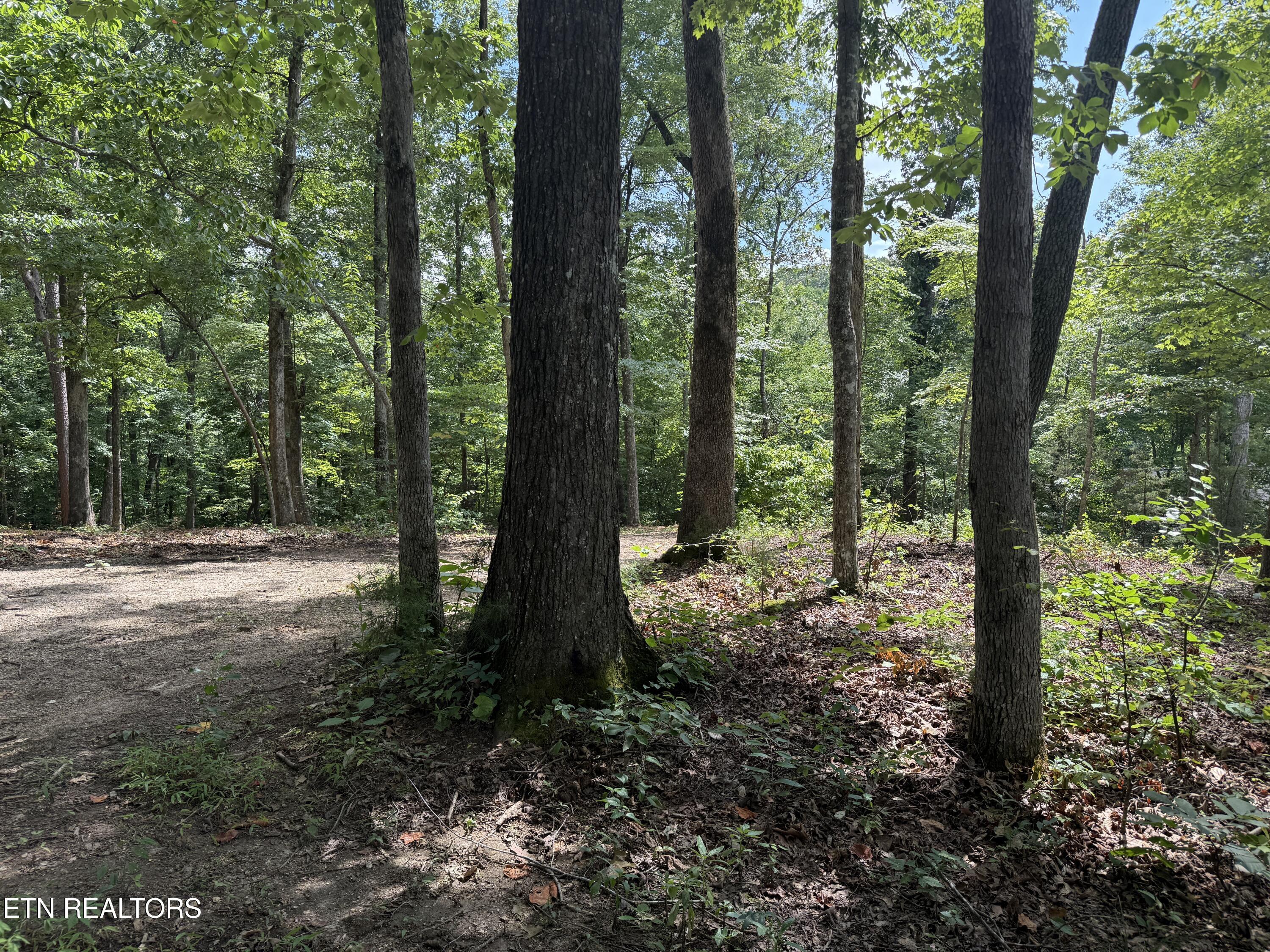 Fort Loudoun and Tellico Lake Real Estate - Image# 24