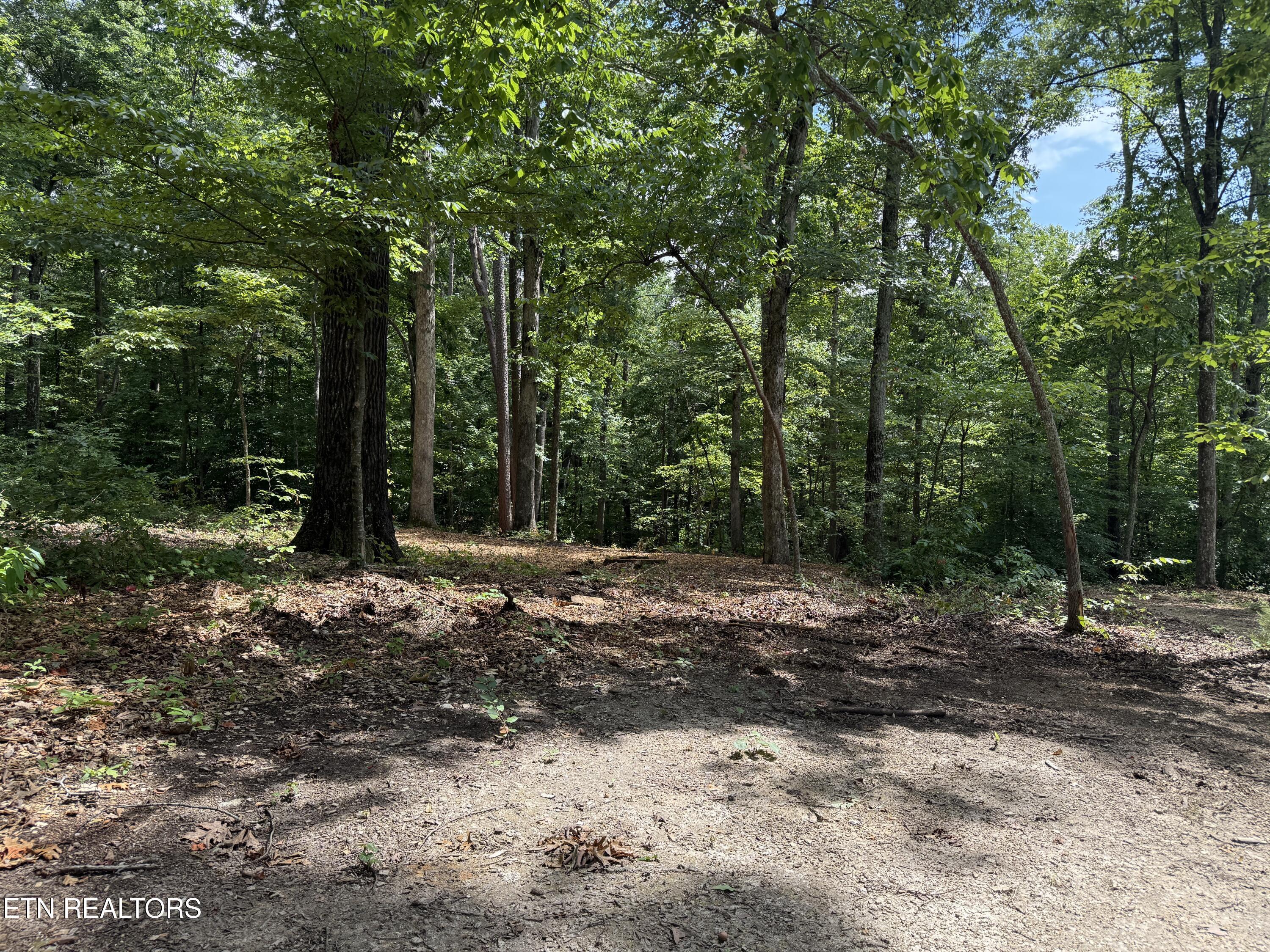 Fort Loudoun and Tellico Lake Real Estate - Image# 23
