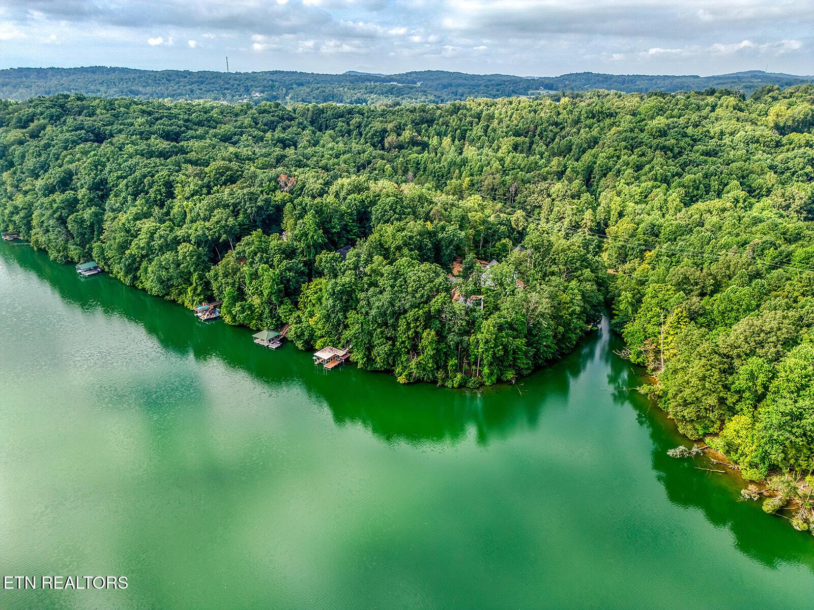 Fort Loudoun and Tellico Lake Real Estate - Image# 16