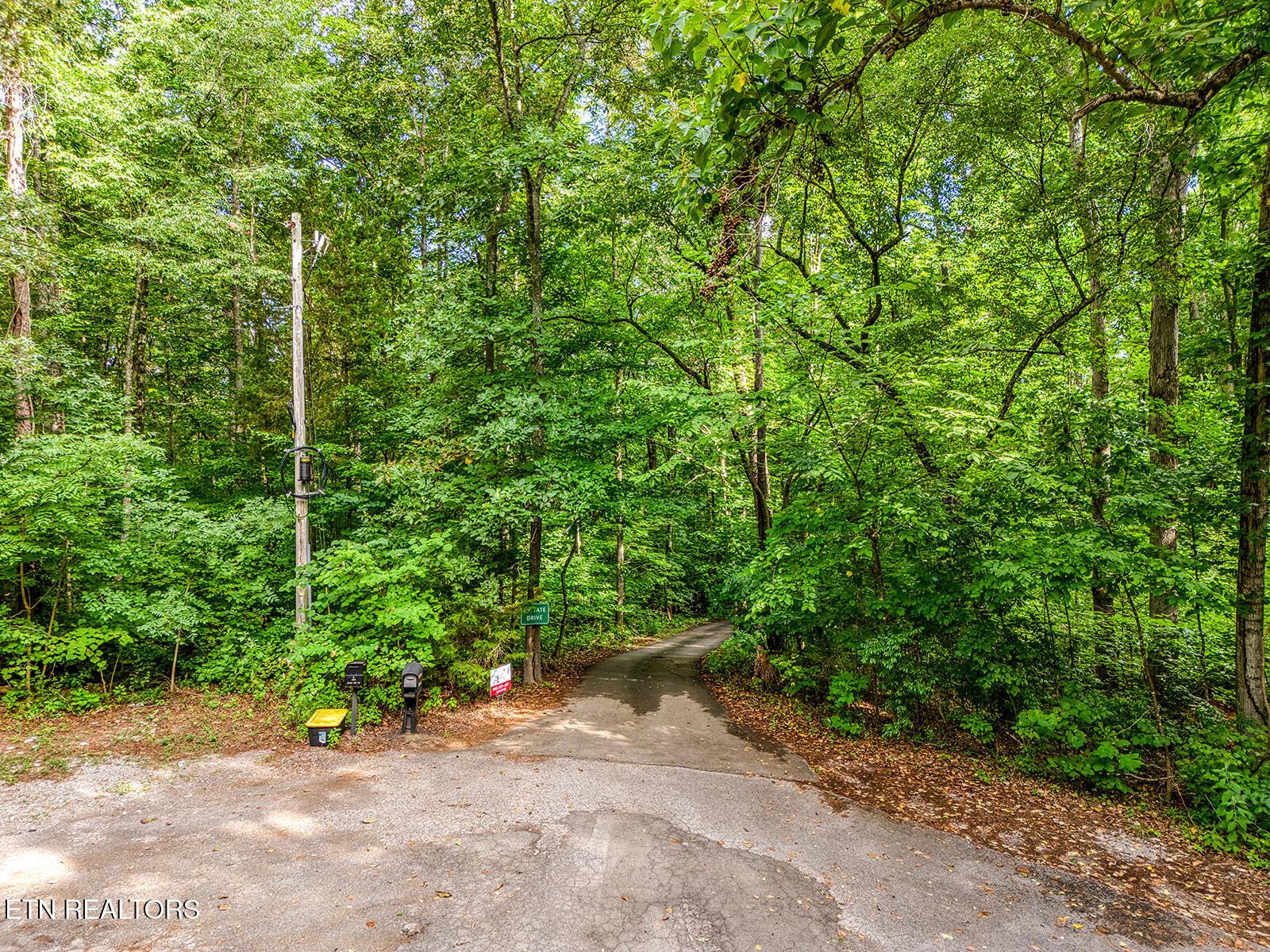 Fort Loudoun and Tellico Lake Real Estate - Image# 53
