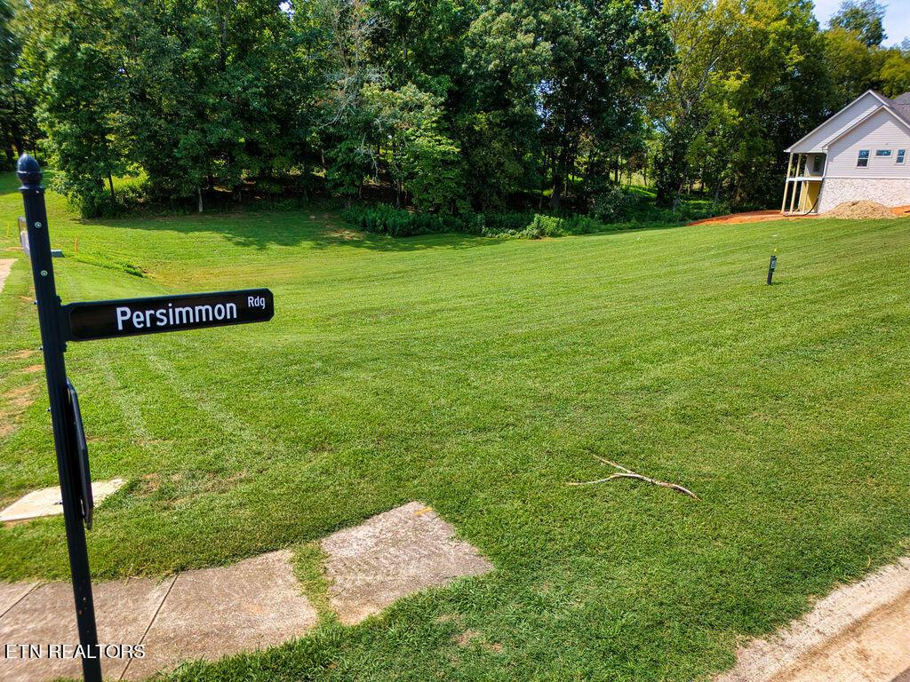 4394 Persimmon Ridge, Loudon, TN - Fort Loudoun and Tellico Lake Real Estate - Image# 8