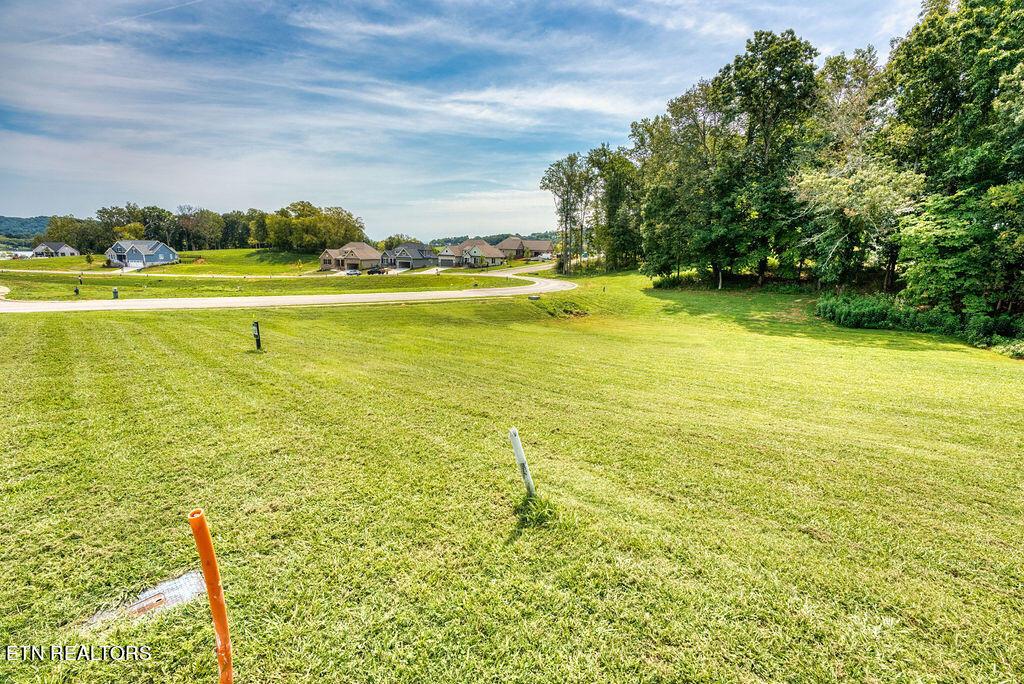 4394 Persimmon Ridge, Loudon, TN - Fort Loudoun and Tellico Lake Real Estate - Image# 20