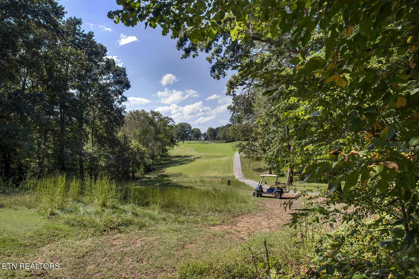 106 Geya Circle, Loudon, TN - Fort Loudoun and Tellico Lake Real Estate - Image# 58