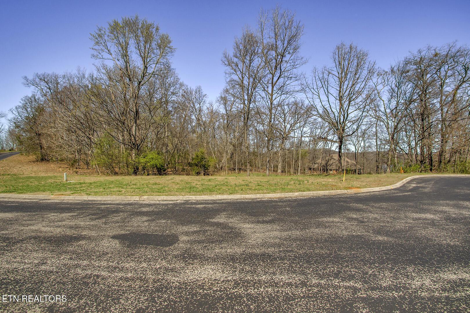 141 Song Sparrow Drive, Vonore, TN - Fort Loudoun and Tellico Lake Real Estate - Image# 6