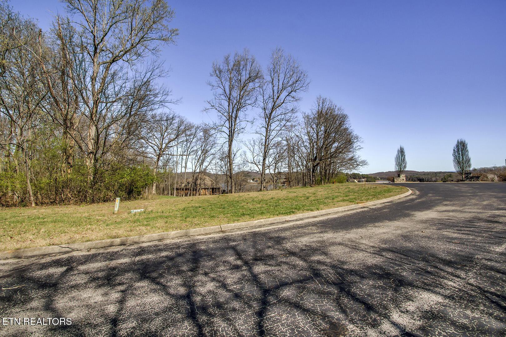 141 Song Sparrow Drive, Vonore, TN - Fort Loudoun and Tellico Lake Real Estate - Image# 8