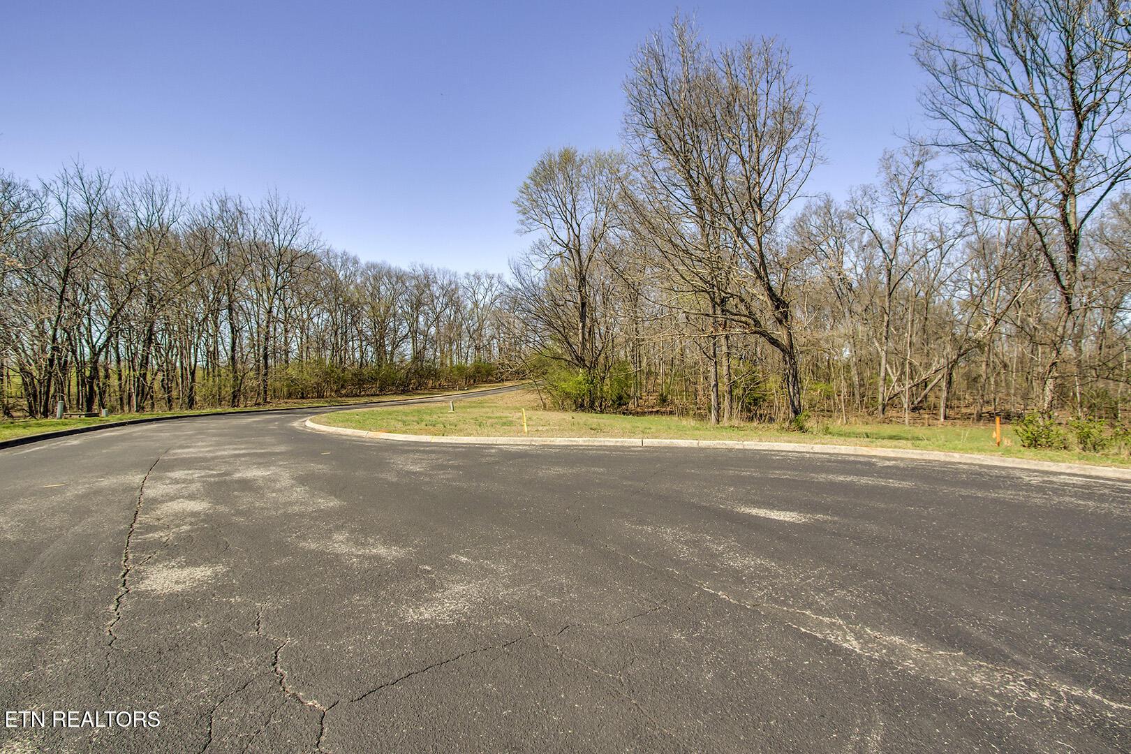 141 Song Sparrow Drive, Vonore, TN - Fort Loudoun and Tellico Lake Real Estate - Image# 10