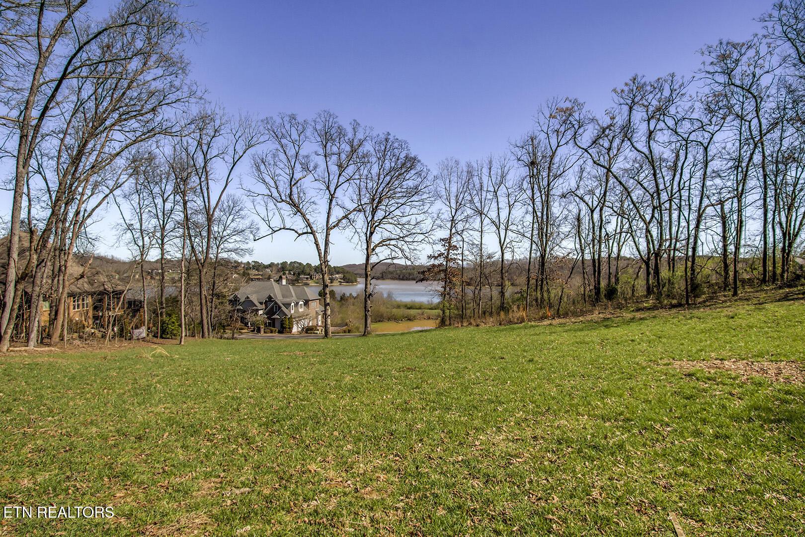 141 Song Sparrow Drive, Vonore, TN - Fort Loudoun and Tellico Lake Real Estate - Image# 5