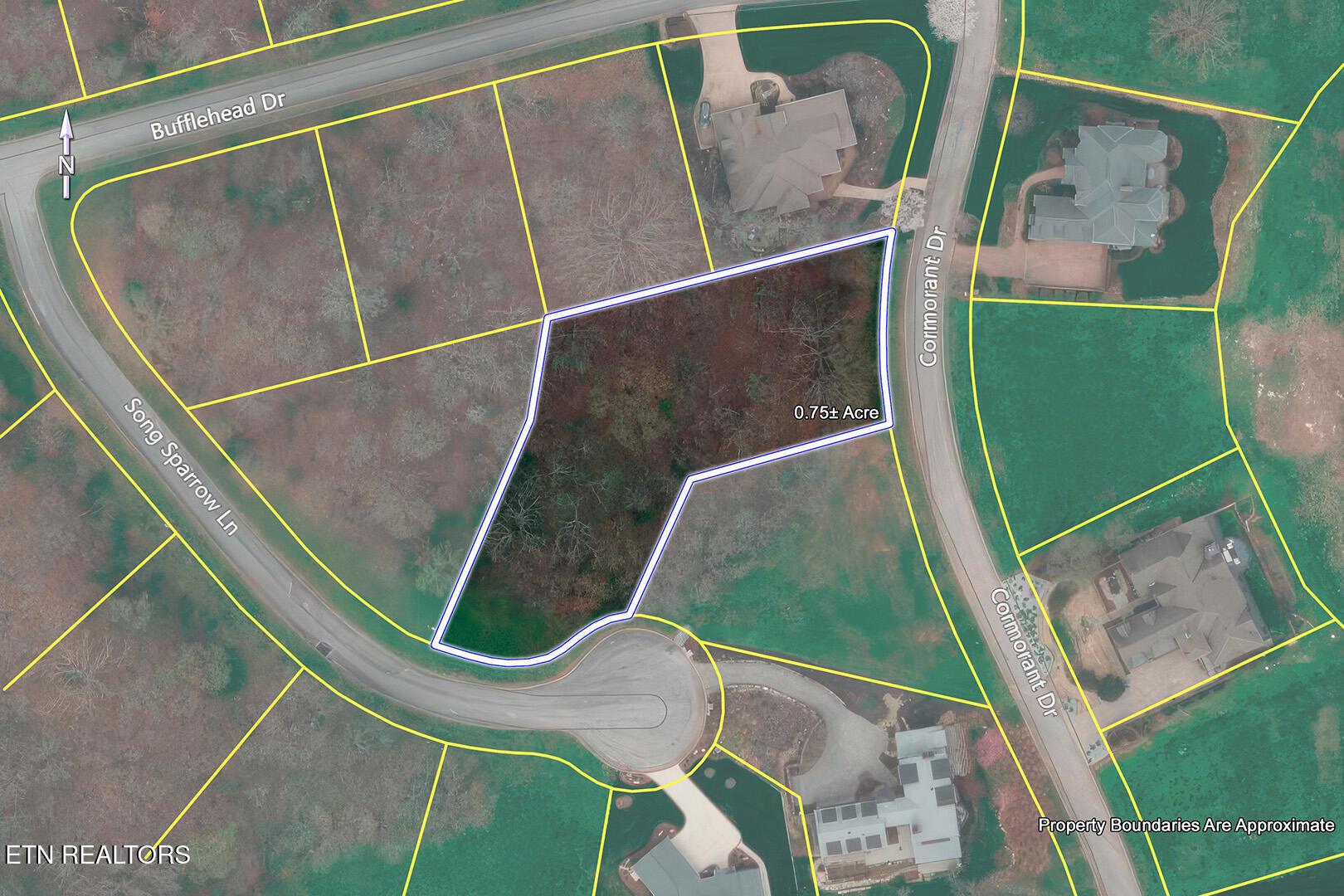 141 Song Sparrow Drive, Vonore, TN - Fort Loudoun and Tellico Lake Real Estate - Image# 23