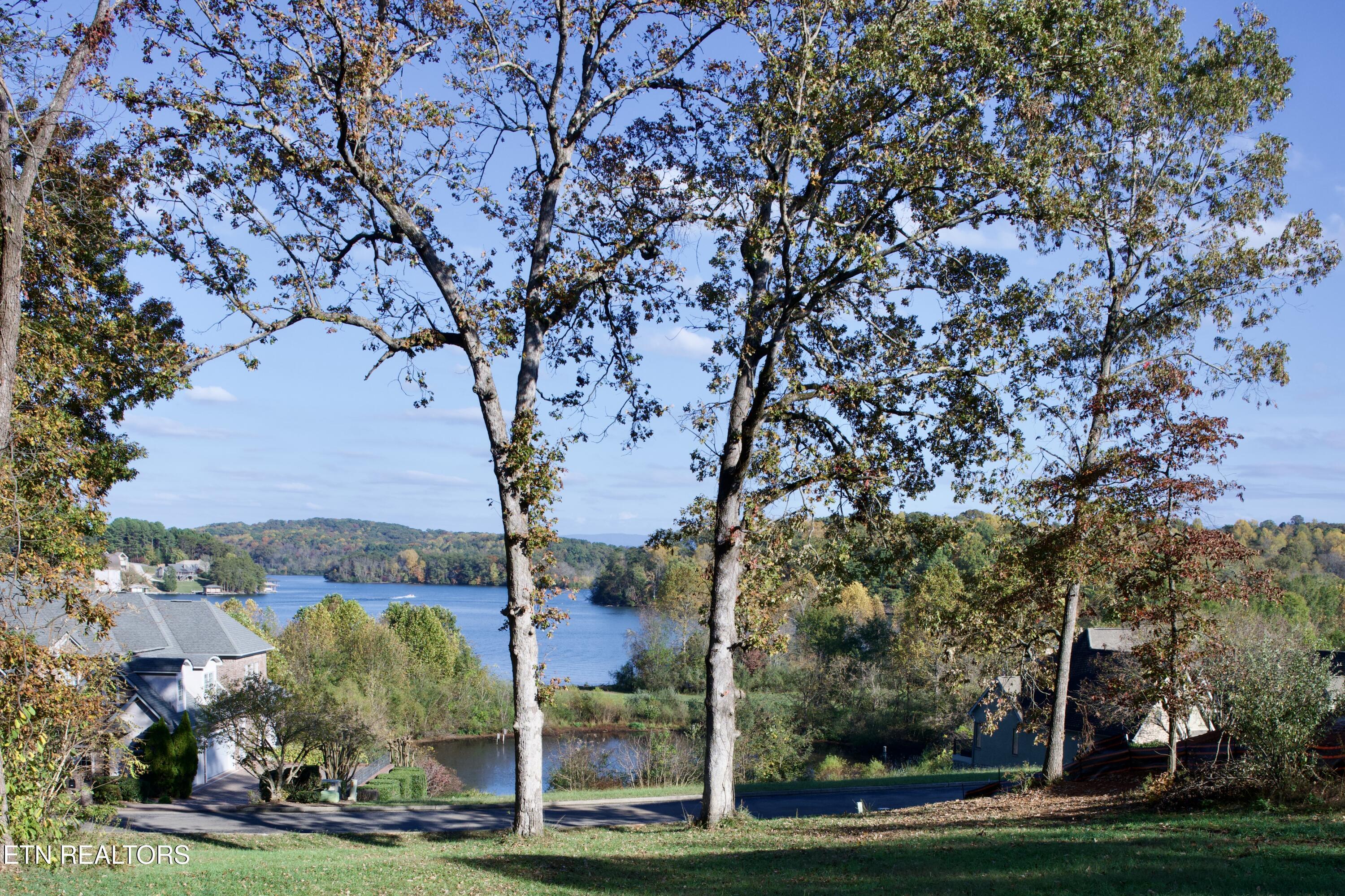141 Song Sparrow Drive, Vonore, TN - Fort Loudoun and Tellico Lake Real Estate - Image# 2