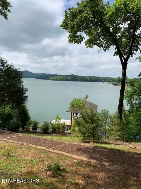 220 Thunder Rd, Vonore, TN - Fort Loudoun and Tellico Lake Real Estate - Image# 60