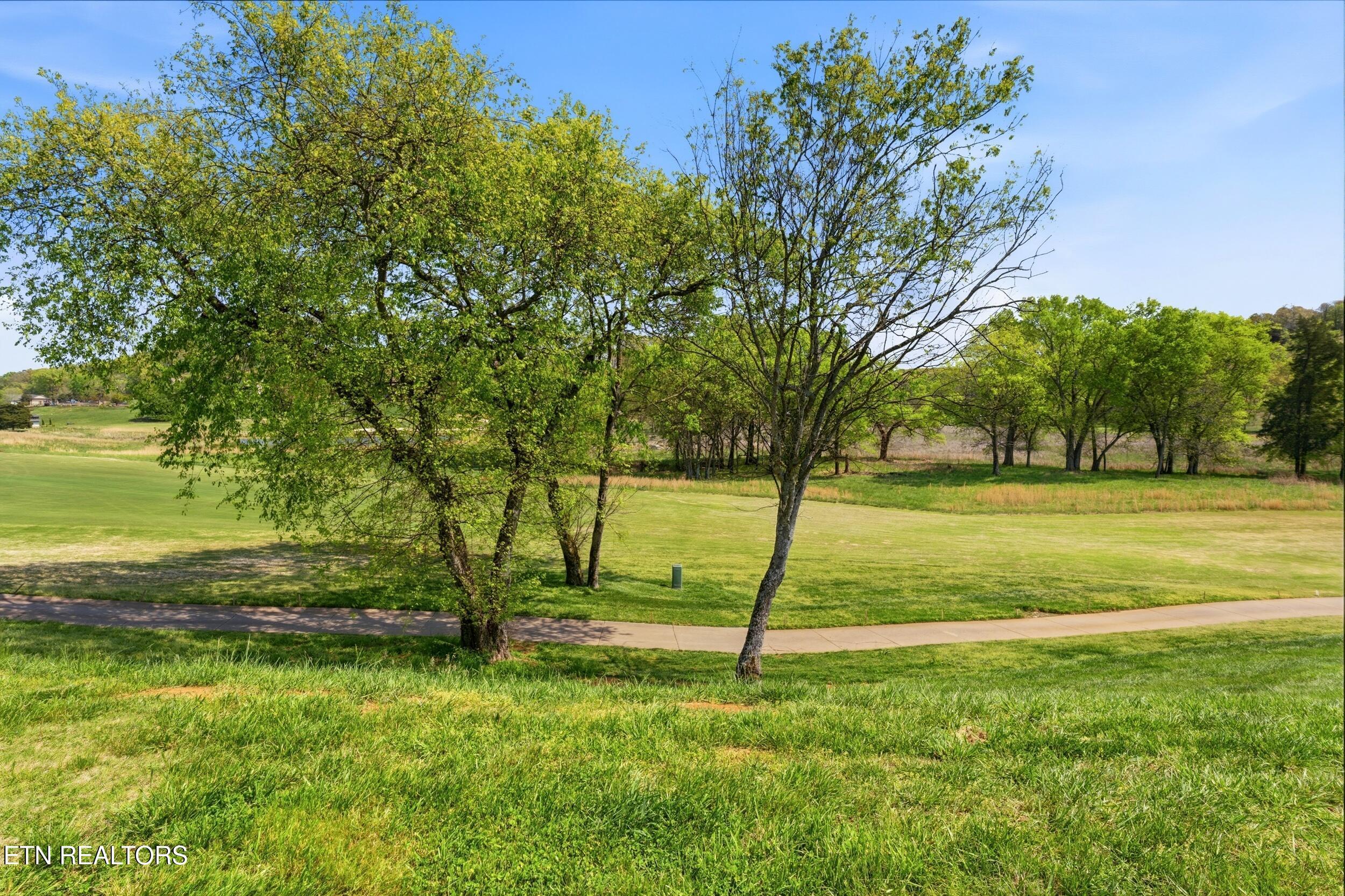 595 Bobcat Run Drive, Loudon, TN - Fort Loudoun and Tellico Lake Real Estate - Image# 7