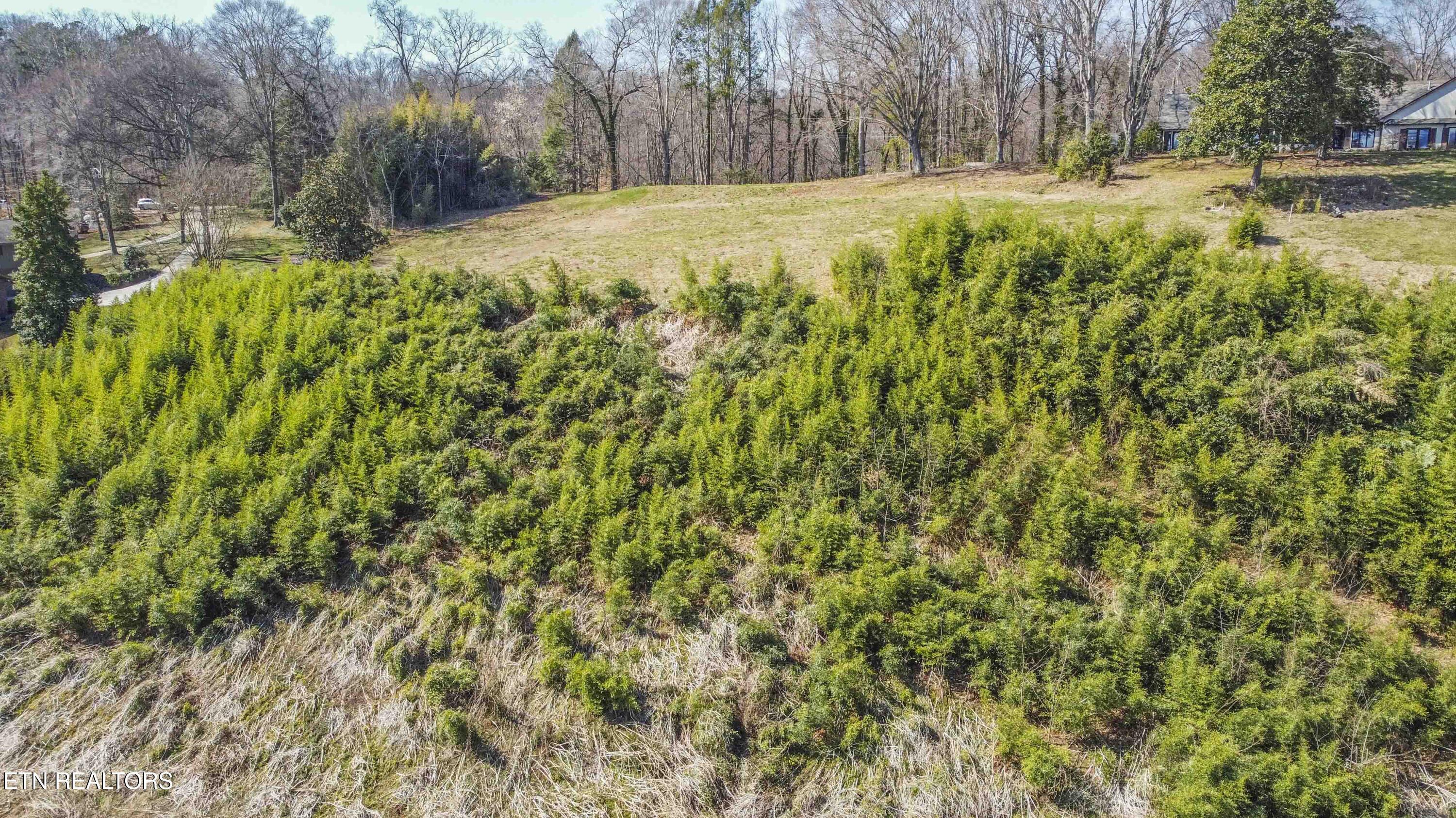 5136 Buckhead Trail Tr, Knoxville, TN - Fort Loudoun and Tellico Lake Real Estate - Image# 21