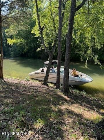 231 Chuniloti Way, Loudon, TN - Fort Loudoun and Tellico Lake Real Estate - Image# 62