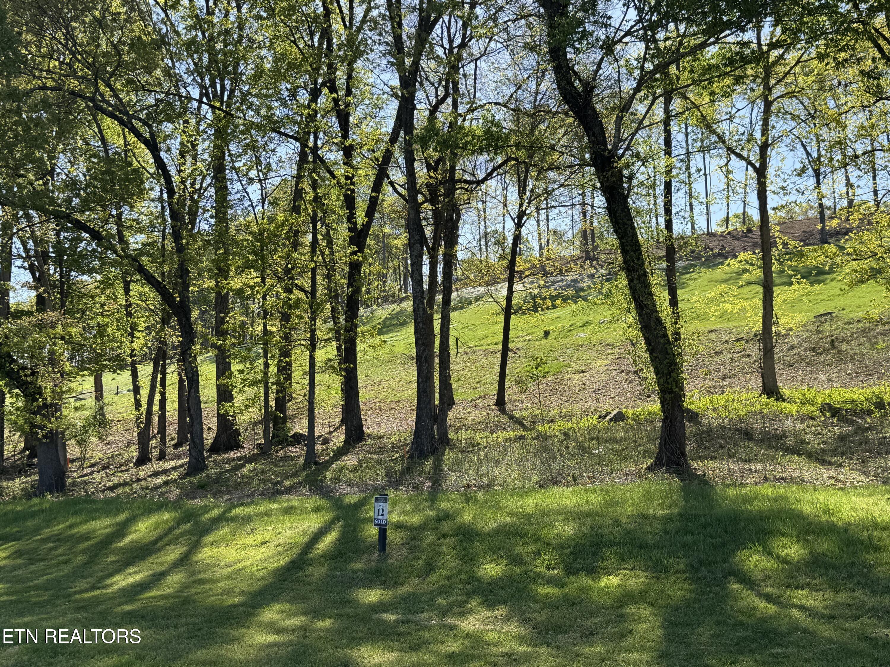 1031 Black Cove Lane, Loudon, TN - Fort Loudoun and Tellico Lake Real Estate - Image# 1