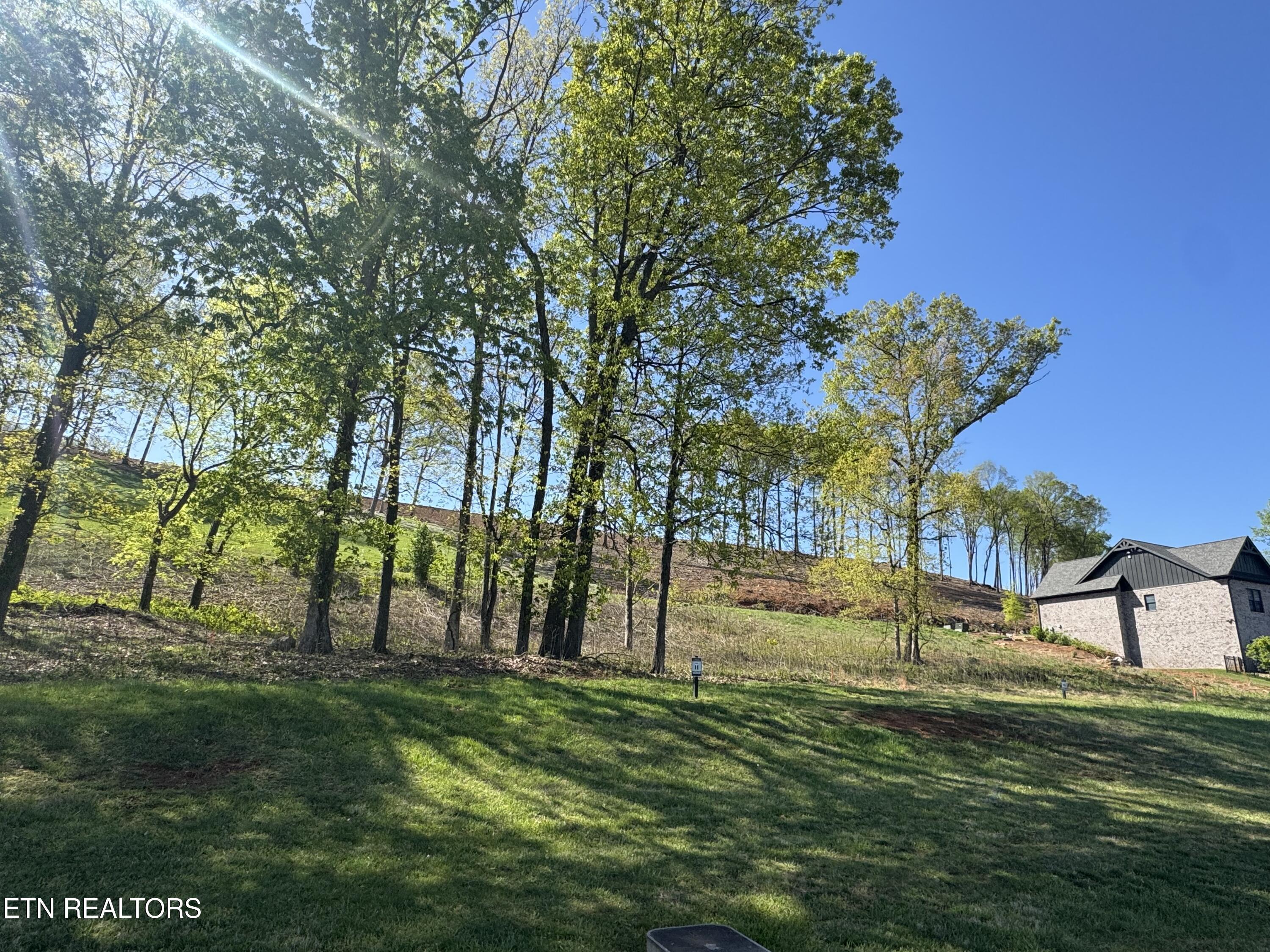 1031 Black Cove Lane, Loudon, TN - Fort Loudoun and Tellico Lake Real Estate - Image# 3