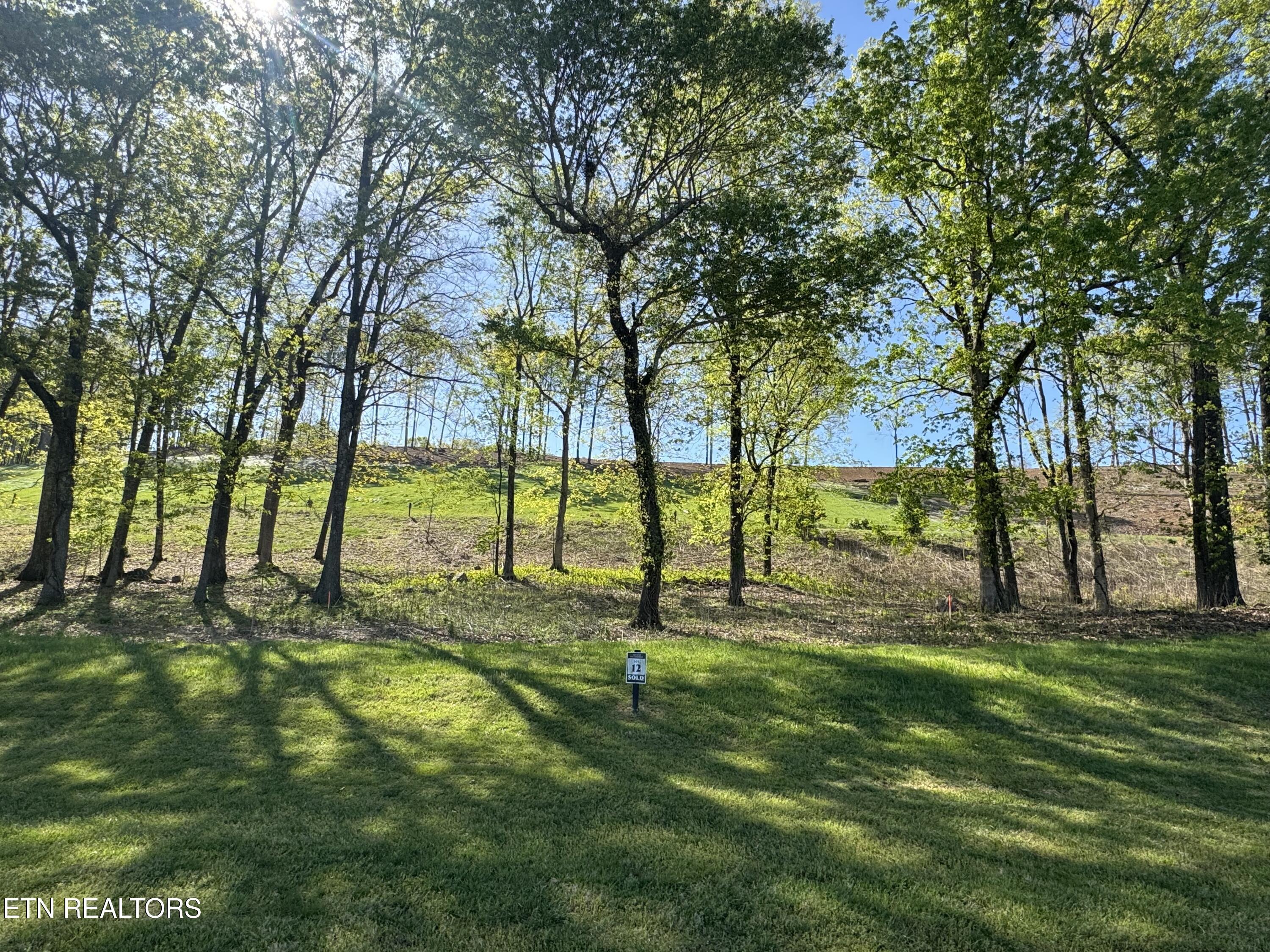 1097 Black Cove Lane, Loudon, TN - Fort Loudoun and Tellico Lake Real Estate - Image# 7