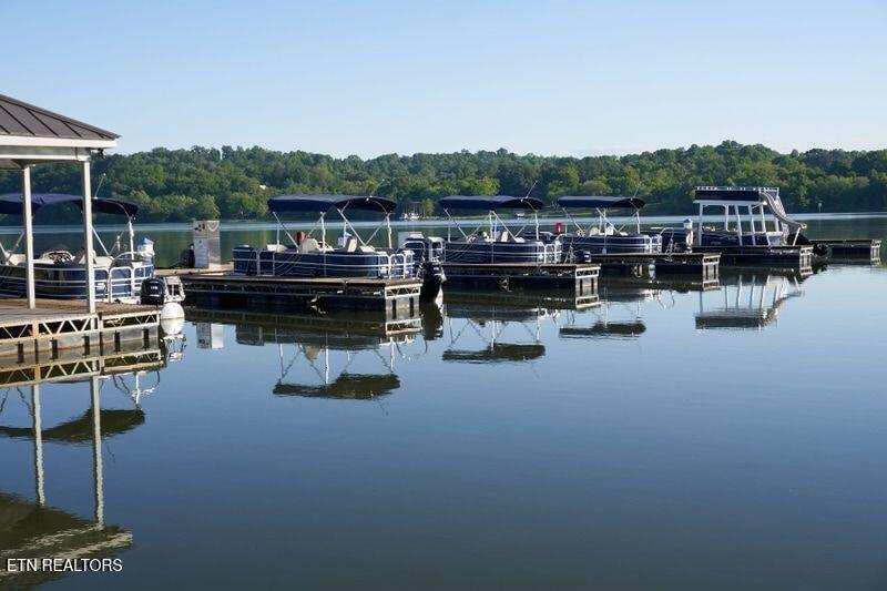 568 Hawks Bend, Loudon, TN - Fort Loudoun and Tellico Lake Real Estate - Image# 9