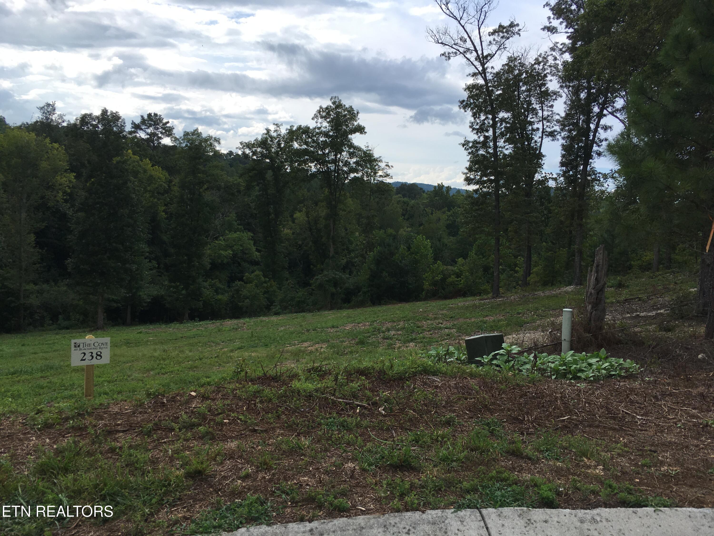 Twin Lakes Drive, Loudon, TN - Fort Loudoun and Tellico Lake Real Estate - Image# 12