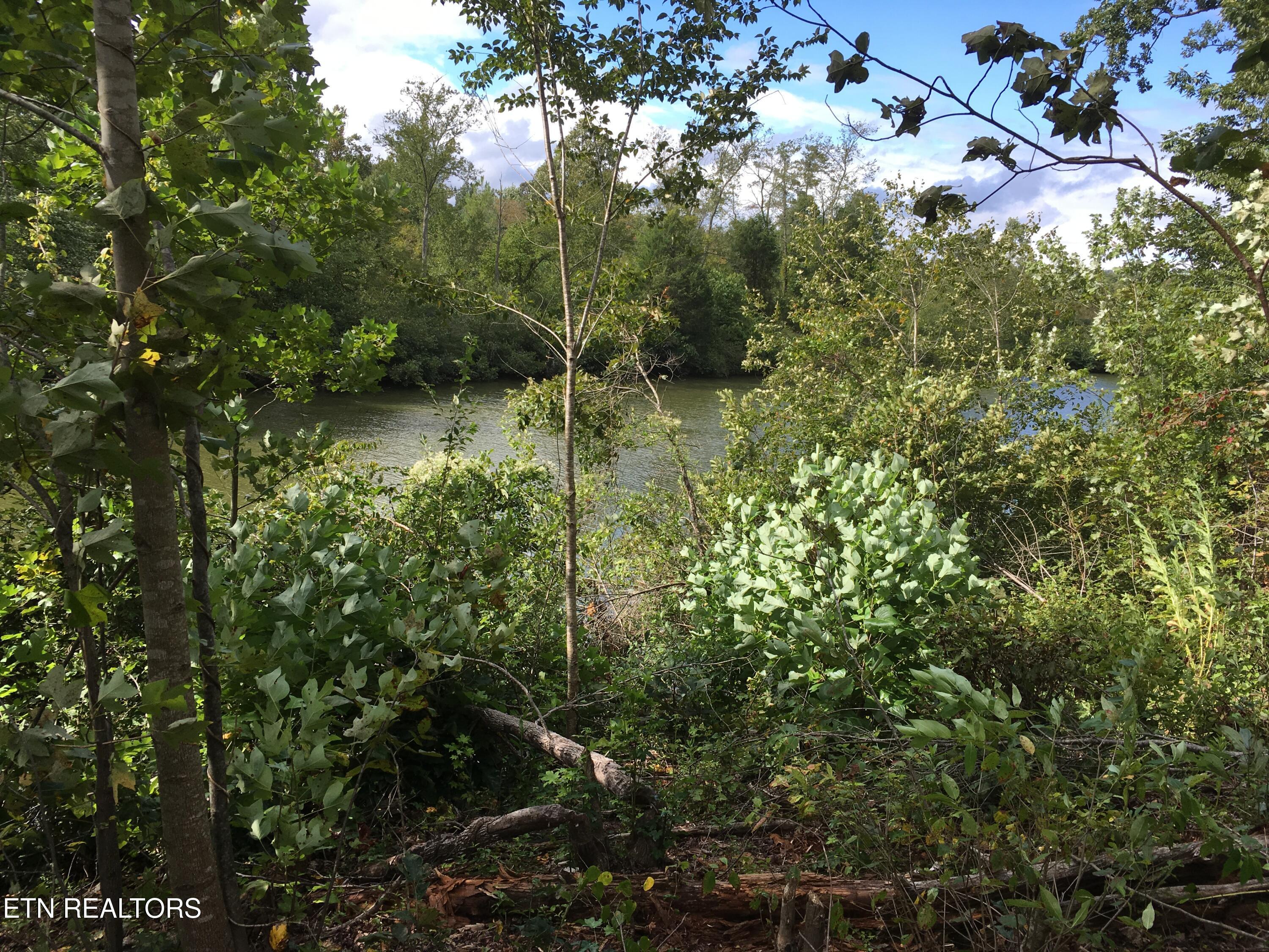 Twin Lakes Drive, Loudon, TN - Fort Loudoun and Tellico Lake Real Estate - Image# 10