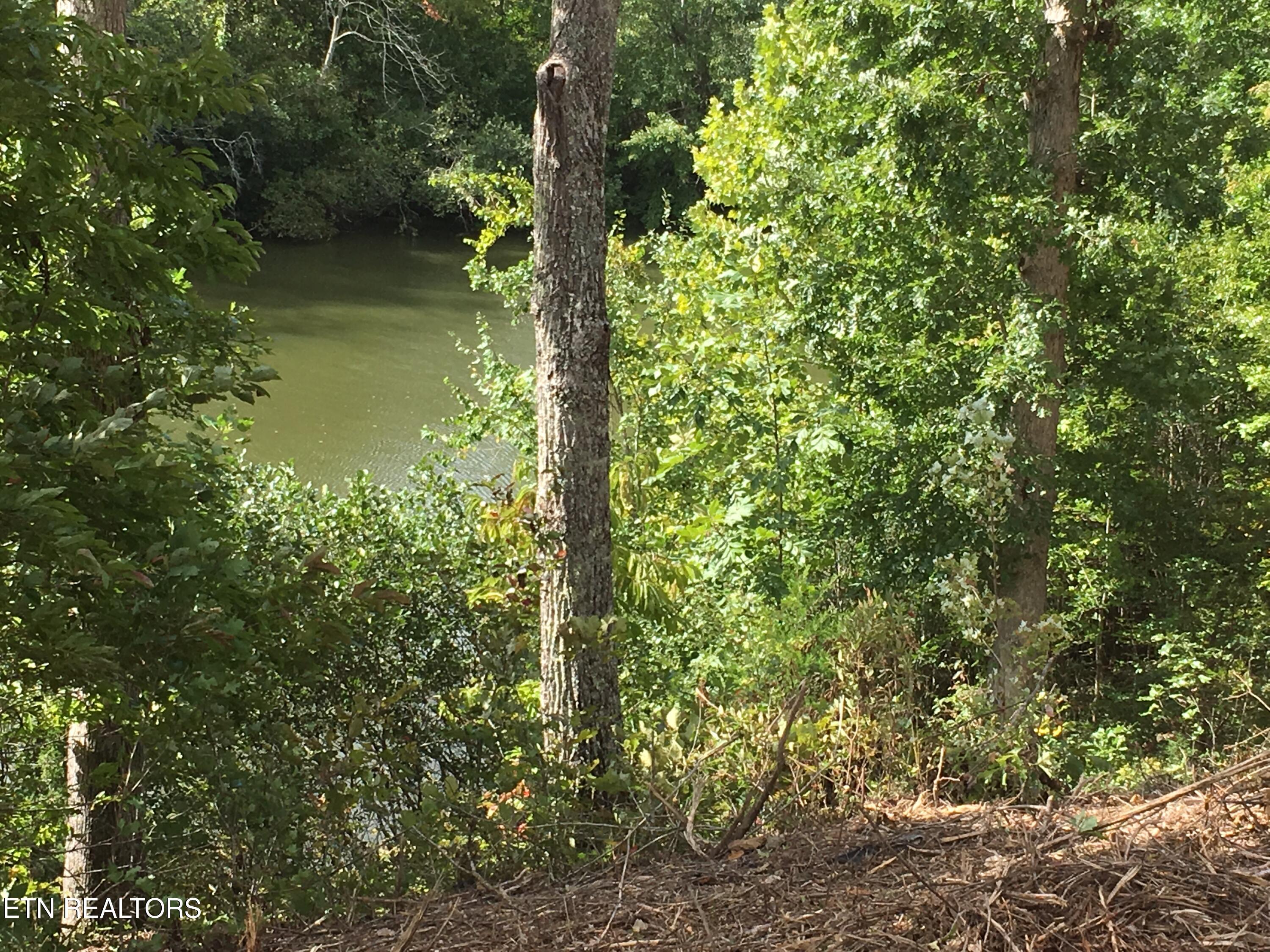 Twin Lakes Drive, Loudon, TN - Fort Loudoun and Tellico Lake Real Estate - Image# 11