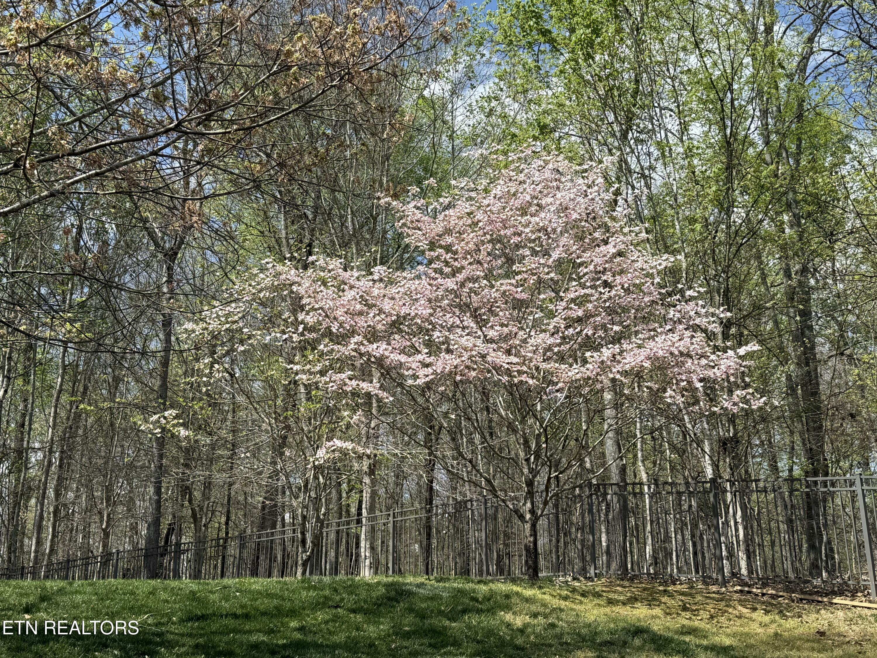 186 Lake Crest Drive, Lenoir City, TN - Fort Loudoun and Tellico Lake Real Estate - Image# 31