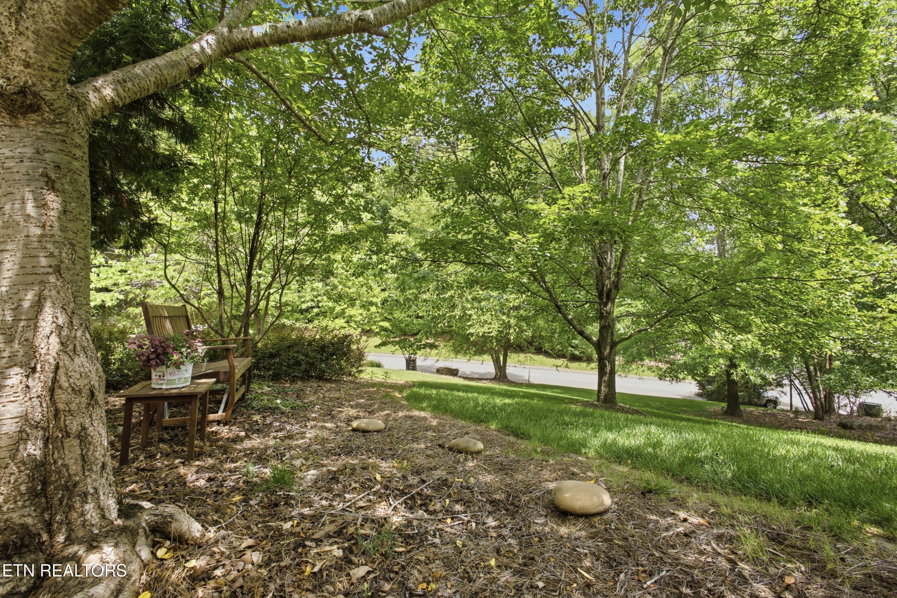 Fort Loudoun and Tellico Lake Real Estate - Image# 5