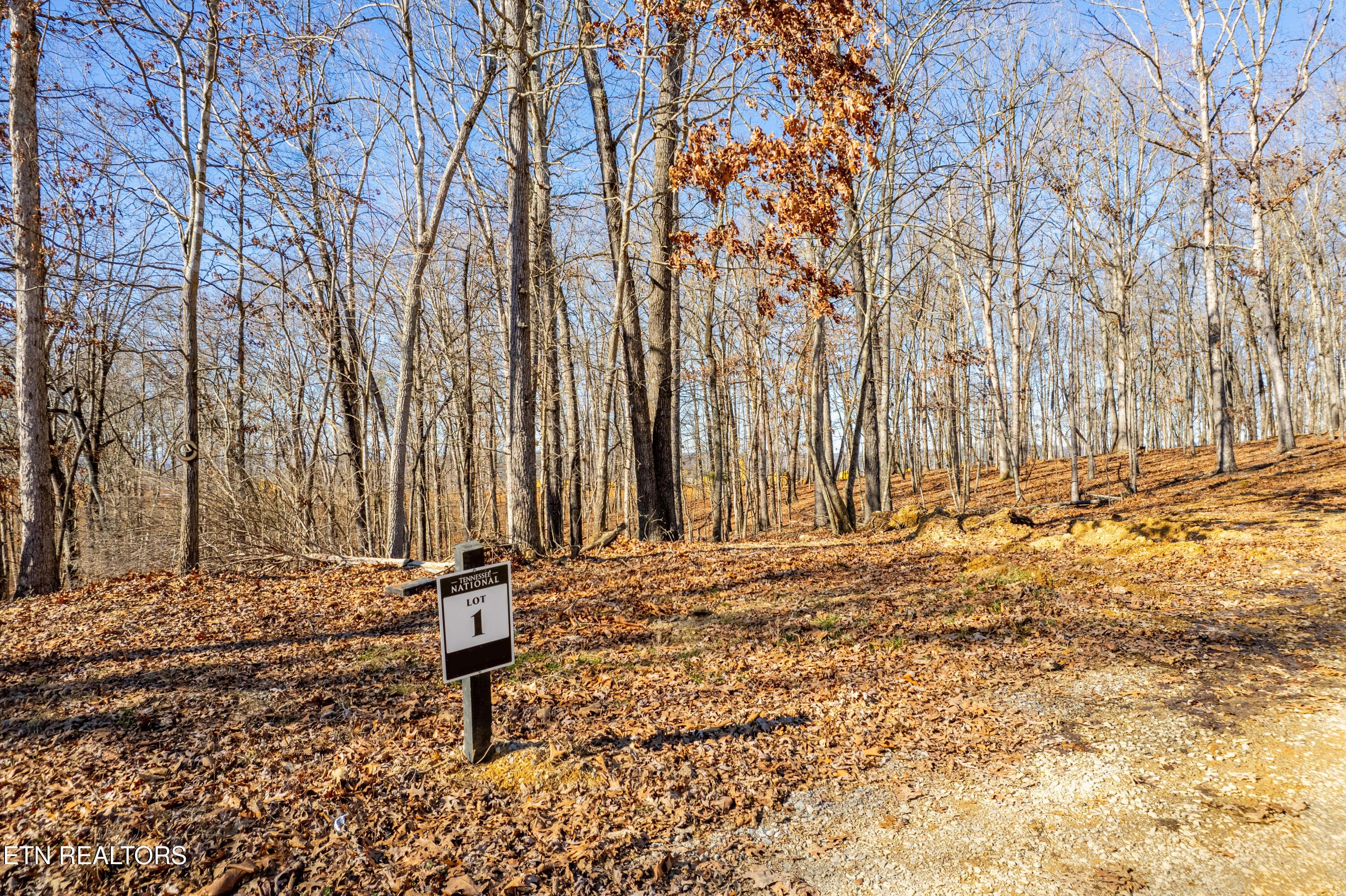 2501 Old Dogwood Tr, Loudon, TN