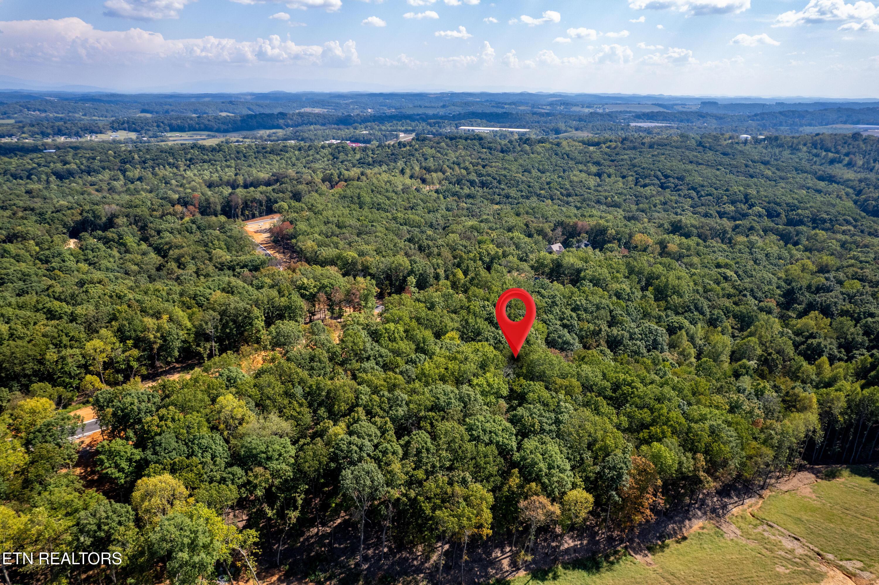 2501 Old Dogwood Tr, Loudon, TN - Fort Loudoun and Tellico Lake Real Estate - Image# 38