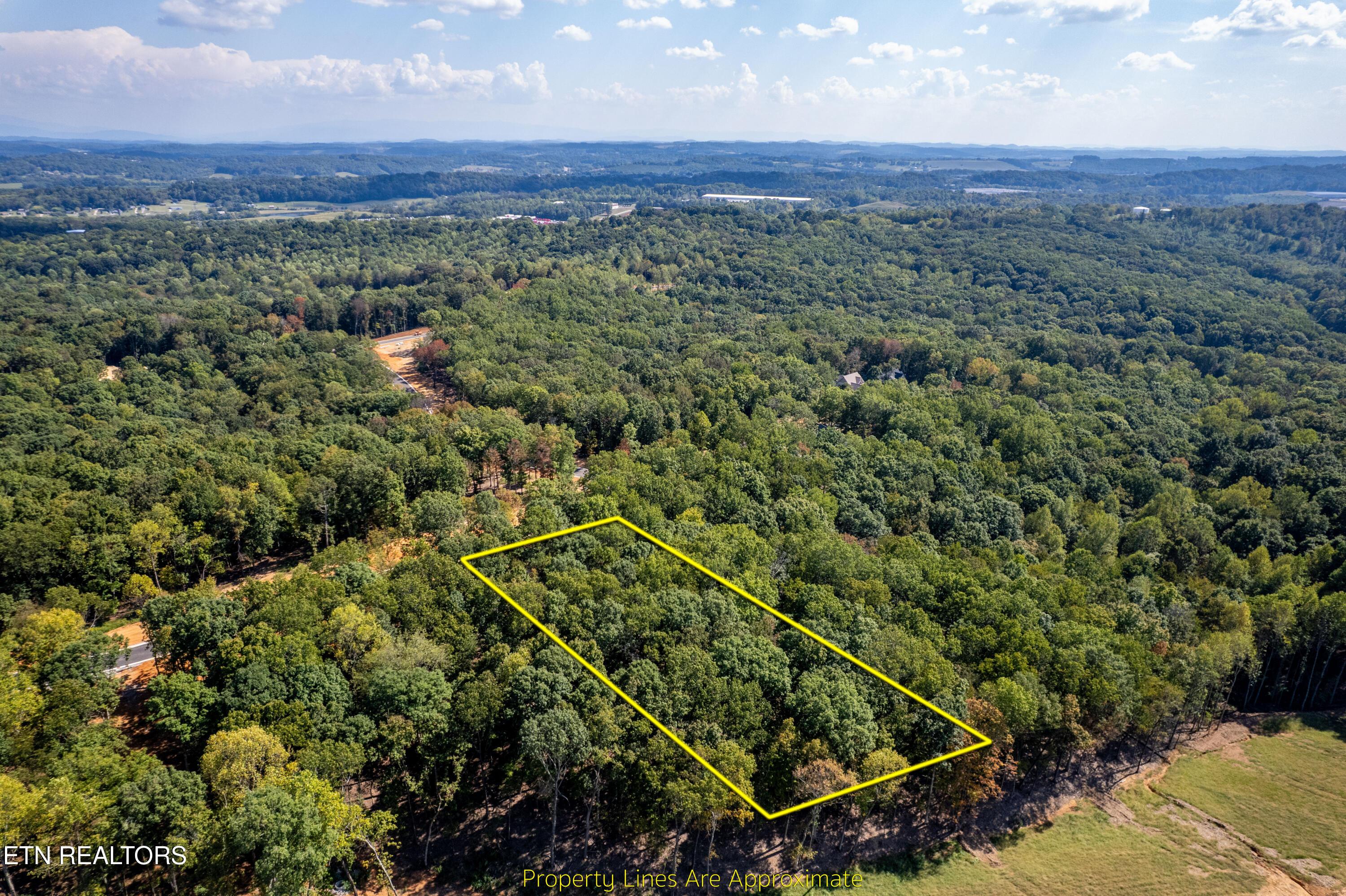 2501 Old Dogwood Tr, Loudon, TN - Fort Loudoun and Tellico Lake Real Estate - Image# 3
