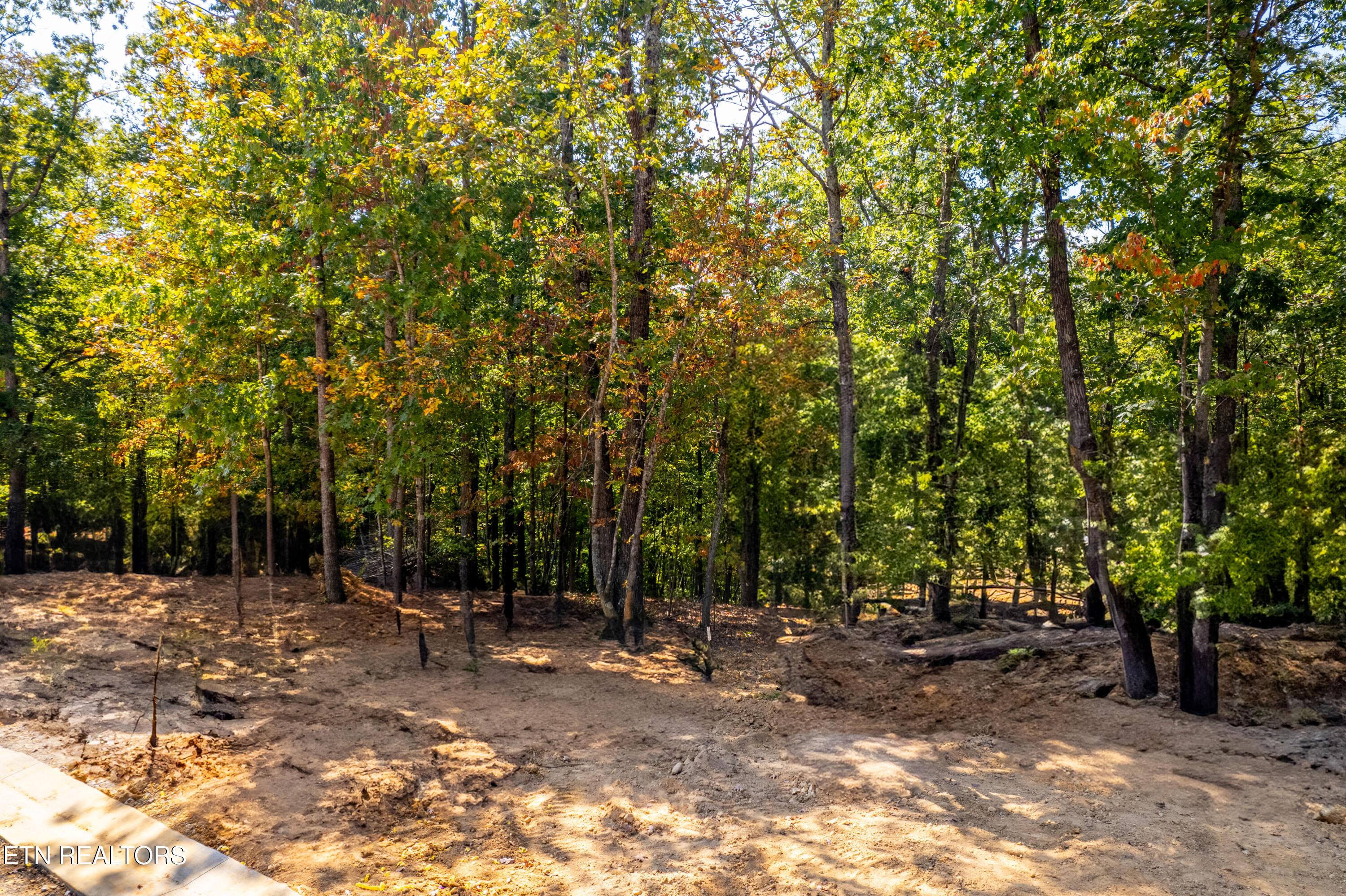 2501 Old Dogwood Tr, Loudon, TN - Fort Loudoun and Tellico Lake Real Estate - Image# 12