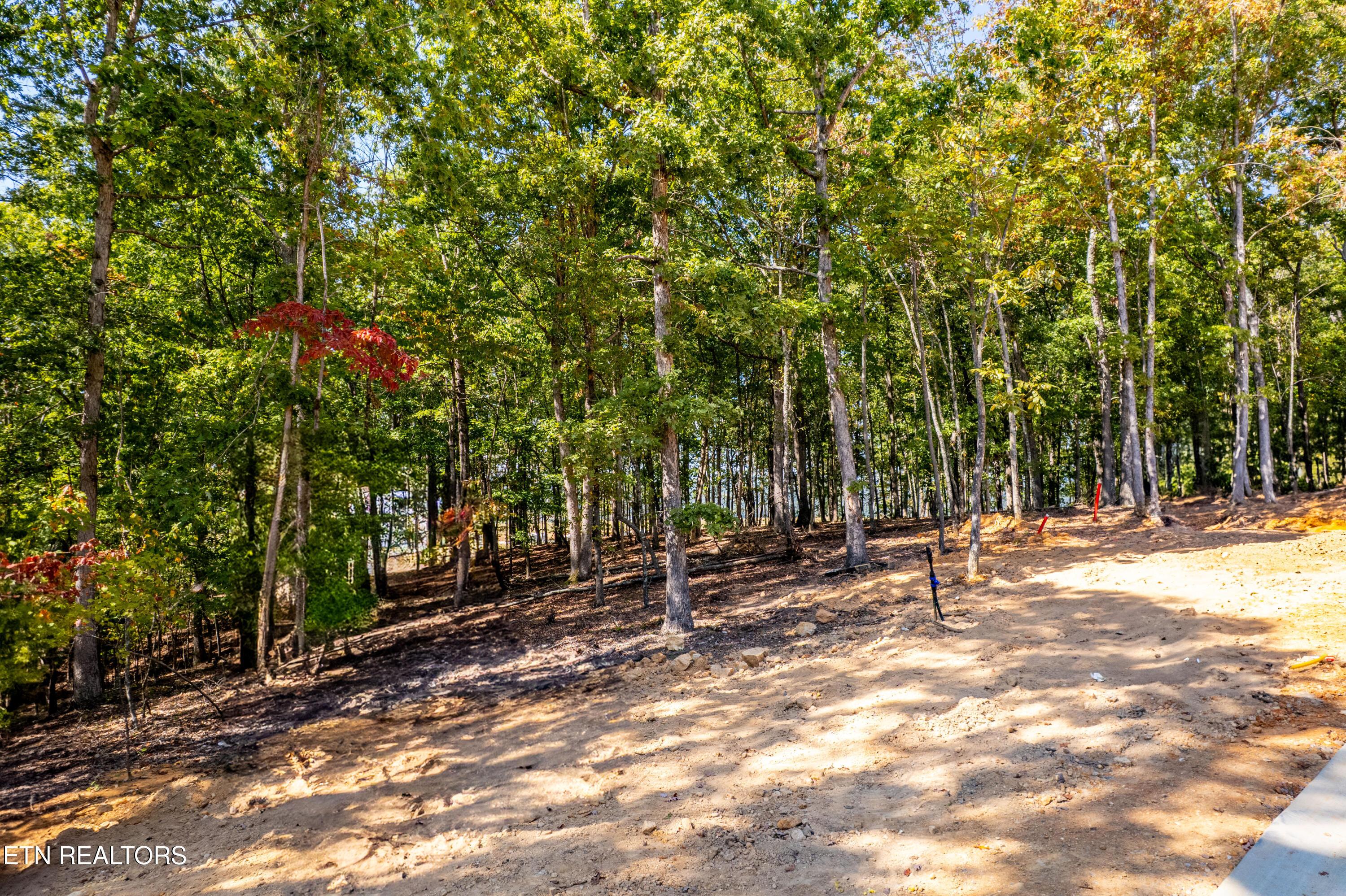 2501 Old Dogwood Tr, Loudon, TN - Fort Loudoun and Tellico Lake Real Estate - Image# 4