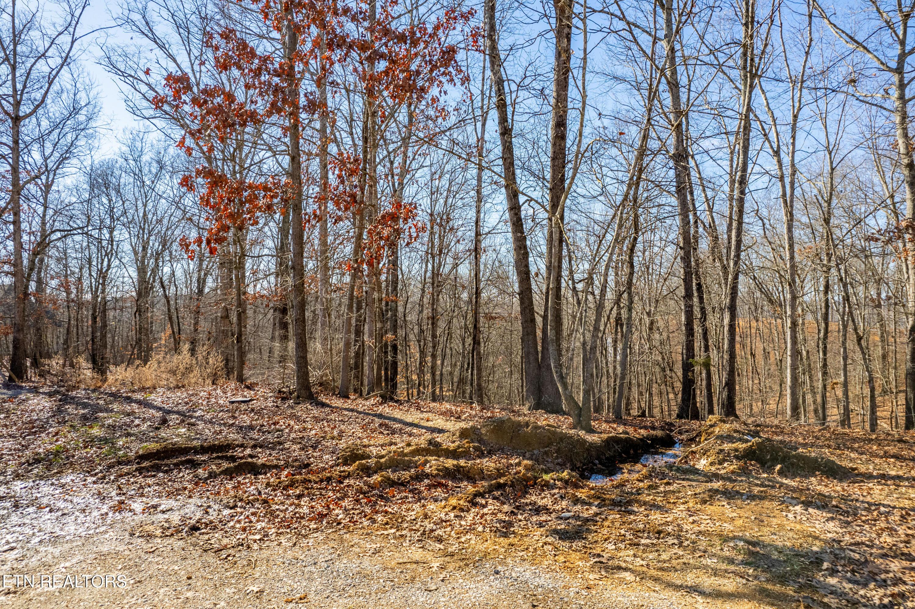 2501 Old Dogwood Tr, Loudon, TN - Fort Loudoun and Tellico Lake Real Estate - Image# 13