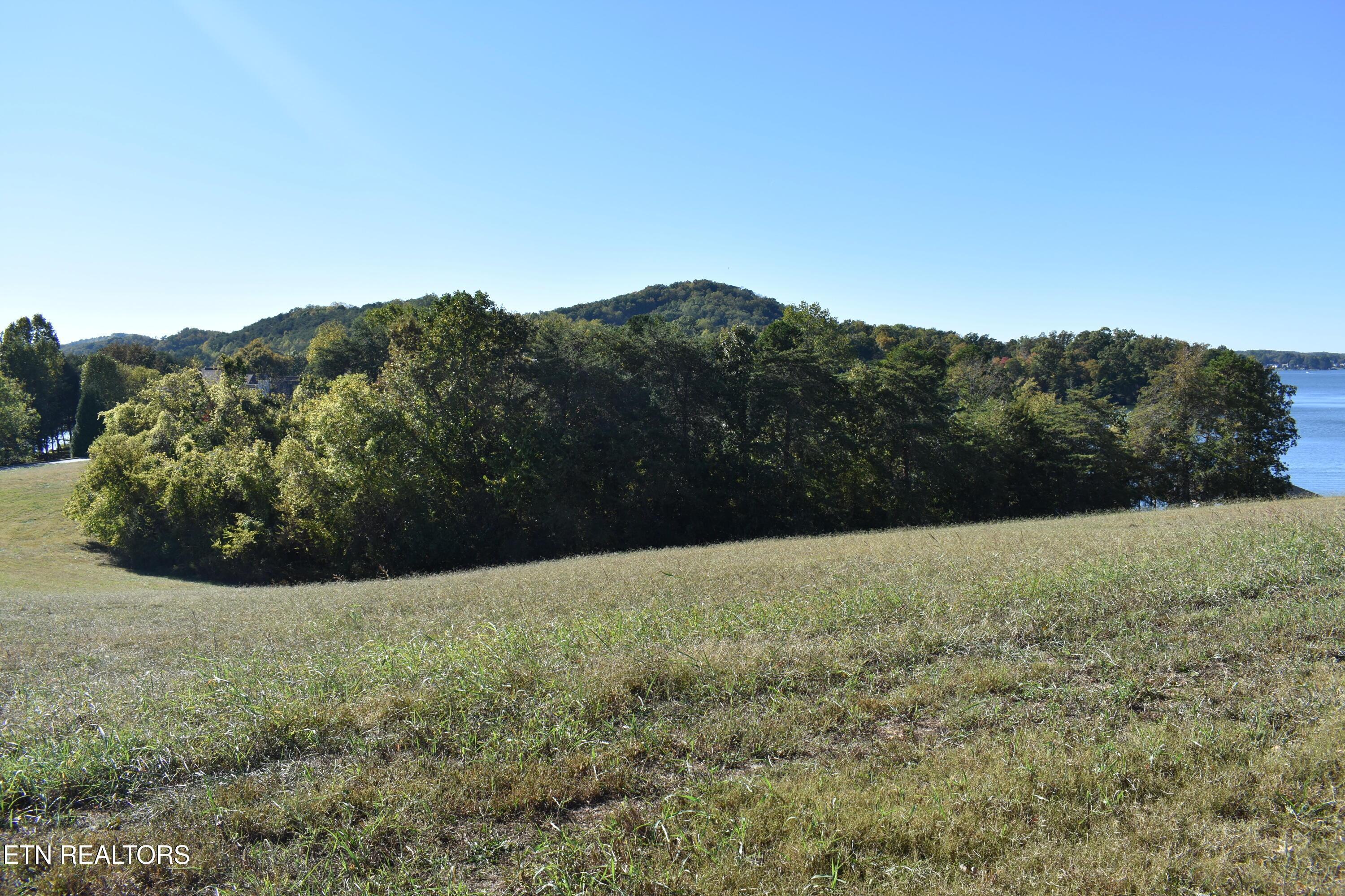135 Amblecrest Drive, Vonore, TN - Fort Loudoun and Tellico Lake Real Estate - Image# 9