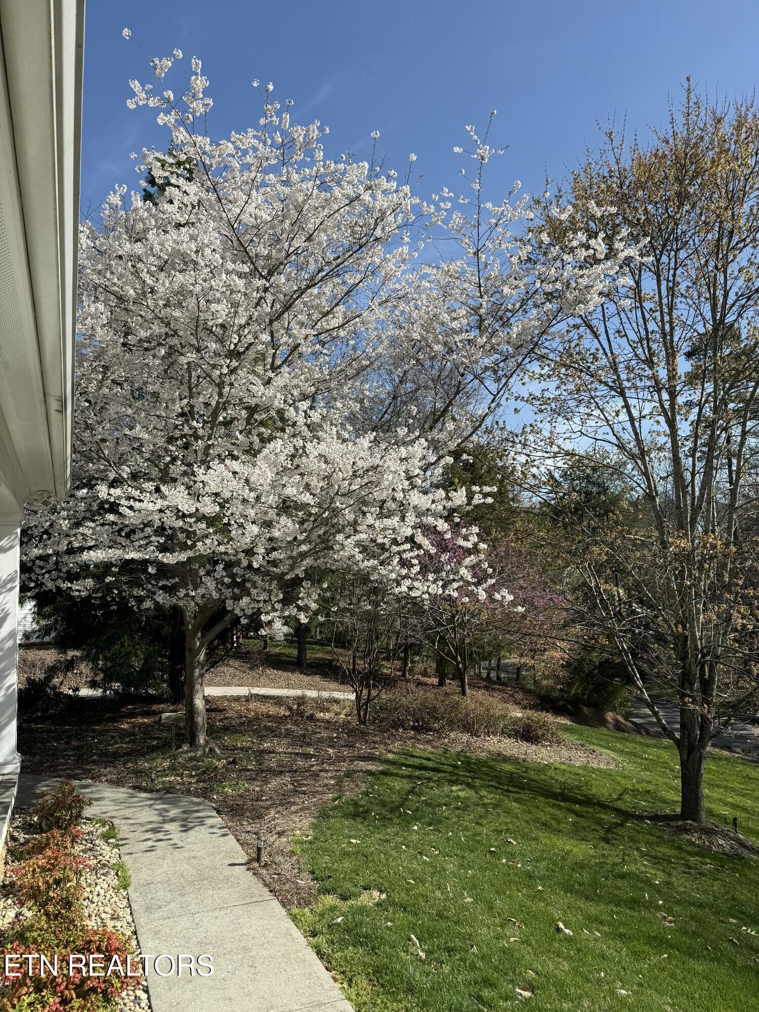 186 Lake Crest Drive, Lenoir City, TN - Fort Loudoun and Tellico Lake Real Estate - Image# 3