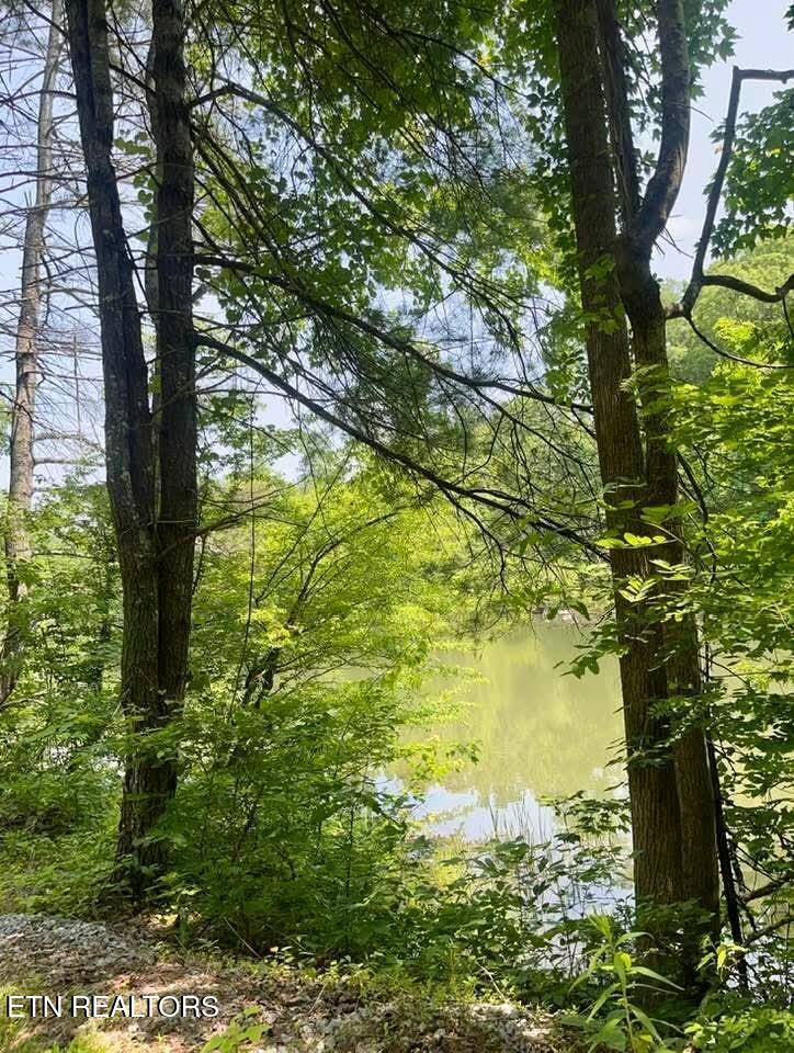 3646 Woodcove Circle, Maryville, TN - Fort Loudoun and Tellico Lake Real Estate - Image# 4