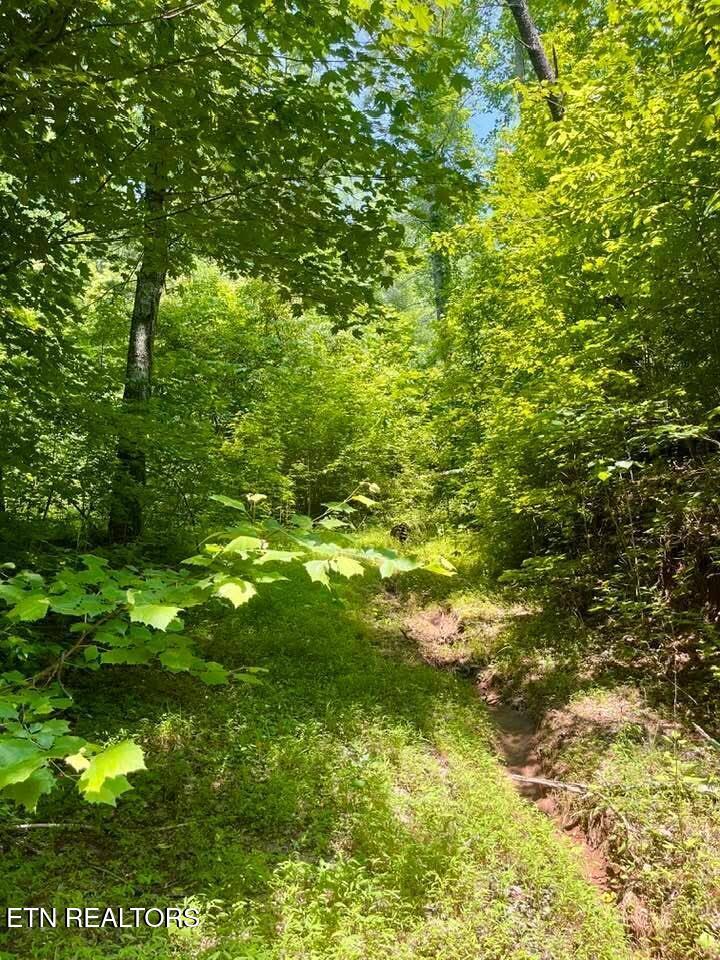 3646 Woodcove Circle, Maryville, TN - Fort Loudoun and Tellico Lake Real Estate - Image# 7