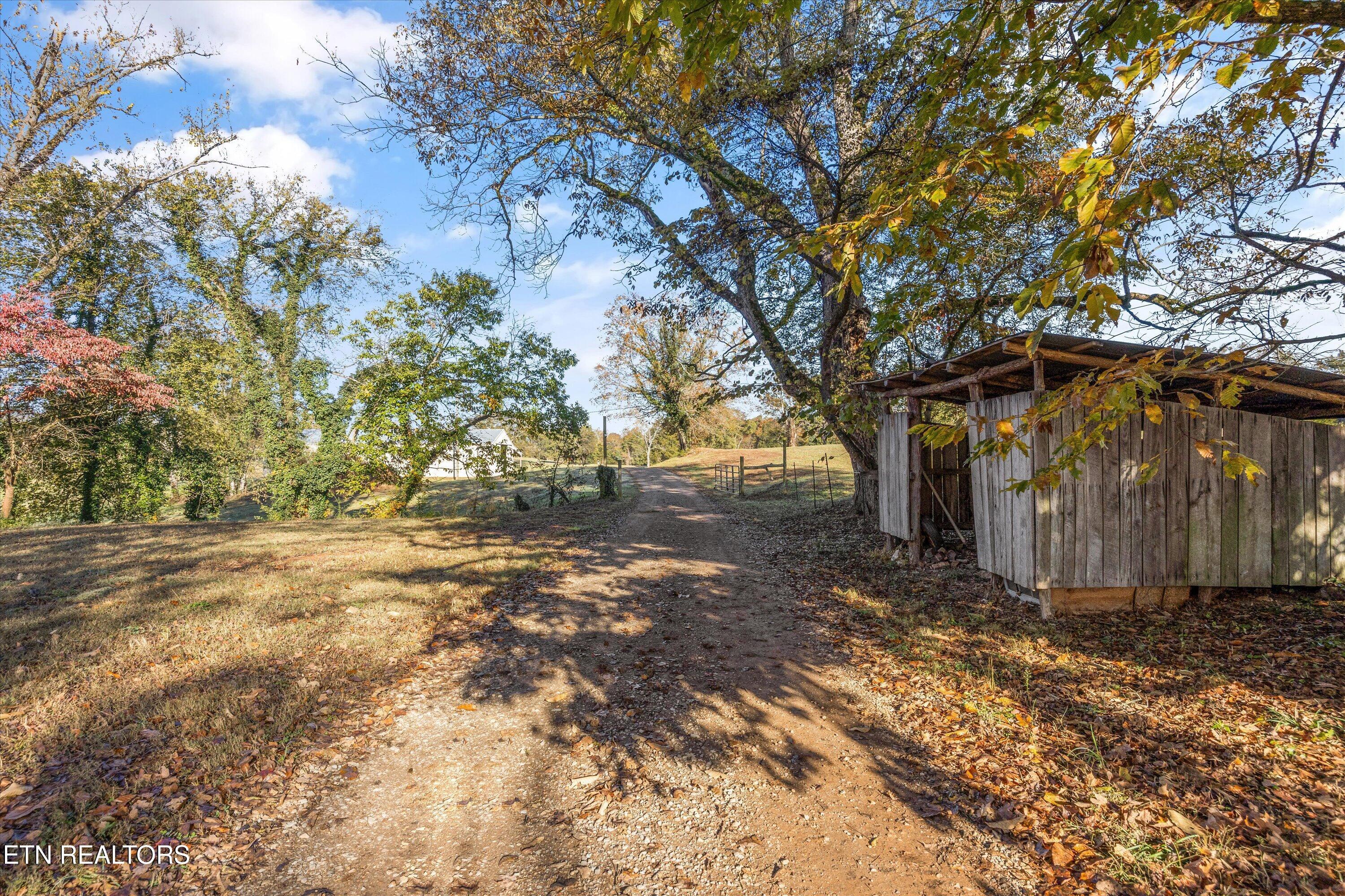 727 Bales Hollow Rd, Friendsville, TN - Fort Loudoun and Tellico Lake Real Estate - Image# 11