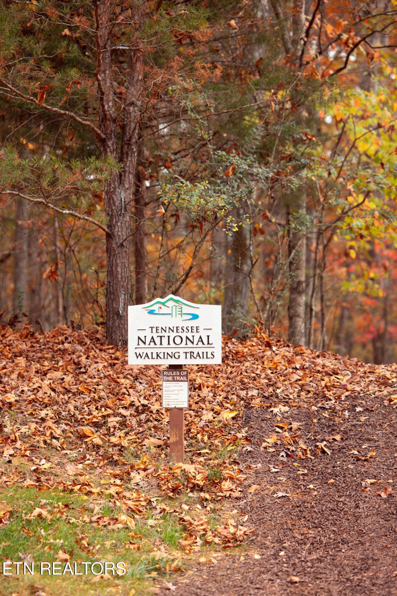 Fort Loudoun and Tellico Lake Real Estate - Image# 31