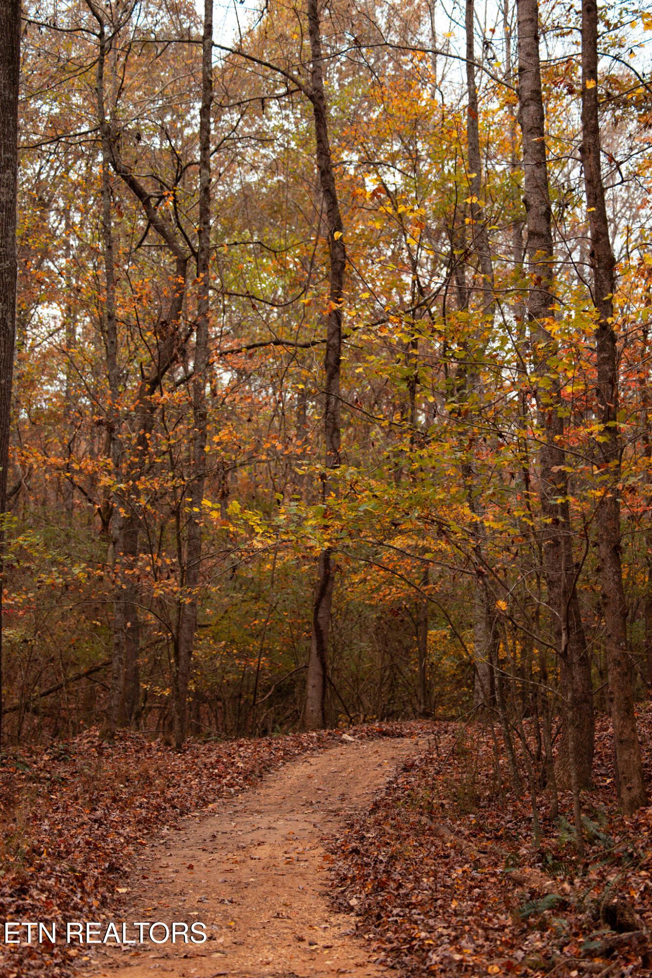 Fort Loudoun and Tellico Lake Real Estate - Image# 32
