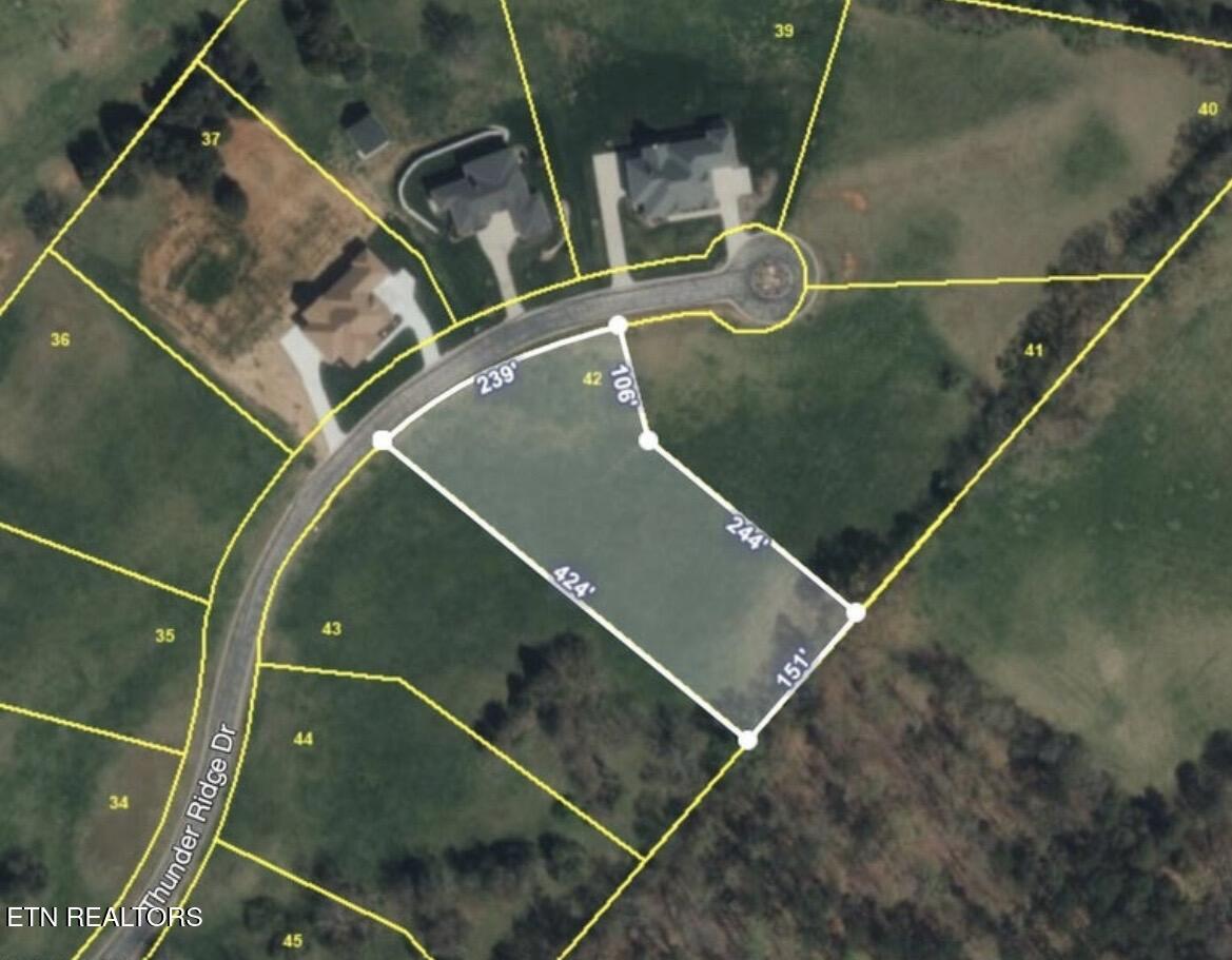 Thunder Ridge Dr Drive, Vonore, TN - Fort Loudoun and Tellico Lake Real Estate - Image# 3
