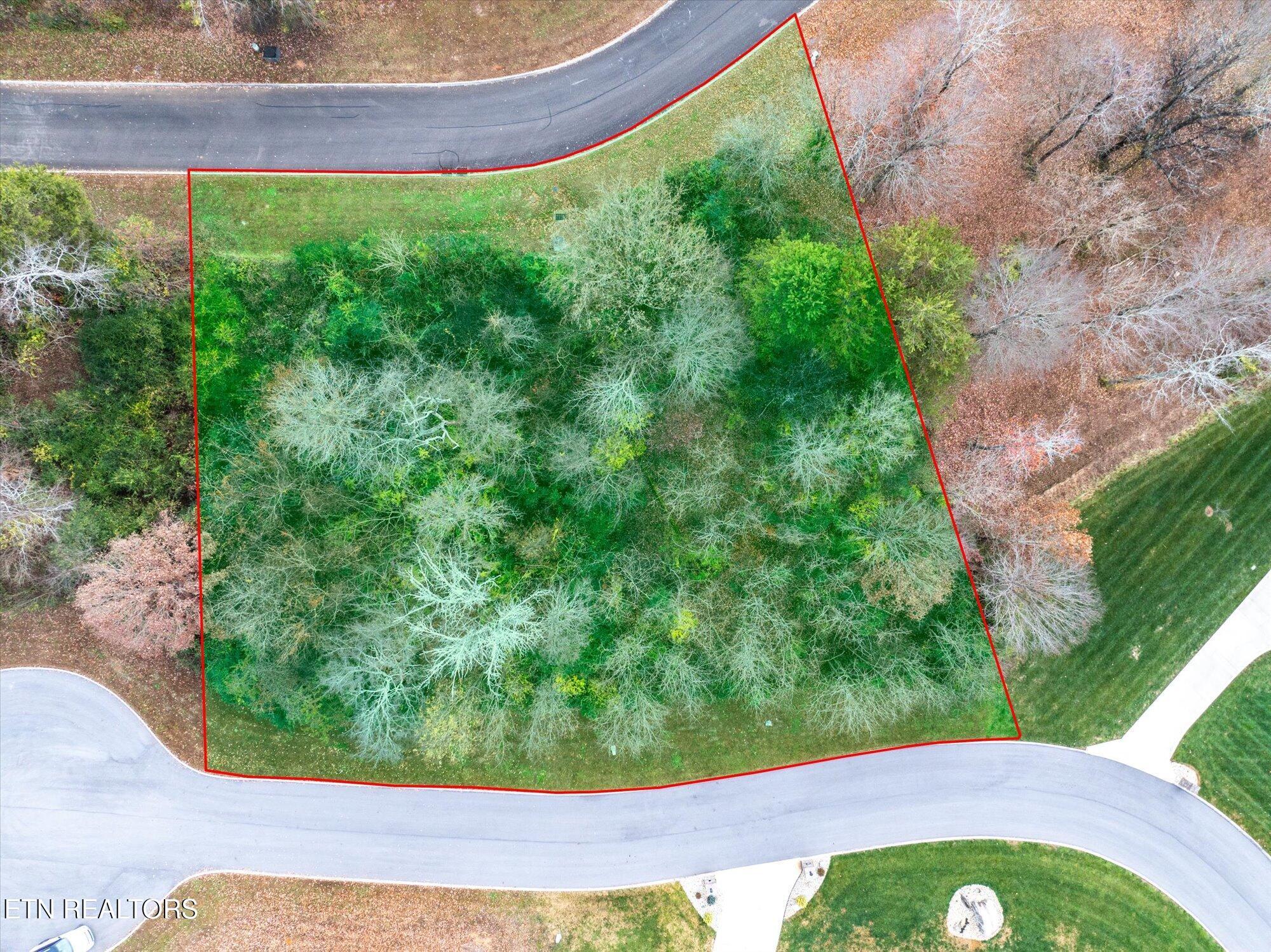 L71 Cardinal Way, Vonore, TN - Fort Loudoun and Tellico Lake Real Estate - Image# 5