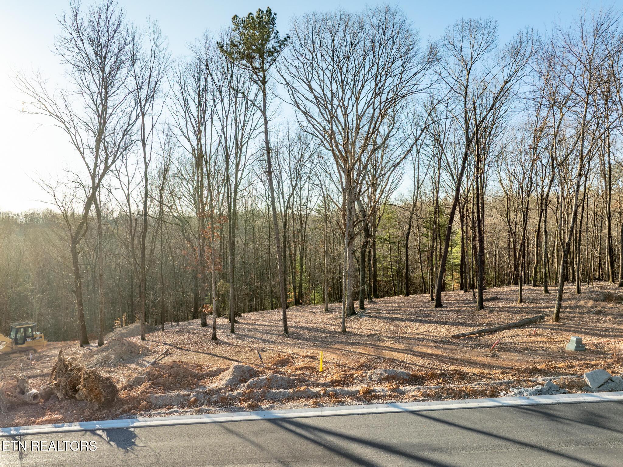 122 Fawn Court, Loudon, TN - Fort Loudoun and Tellico Lake Real Estate - Image# 5